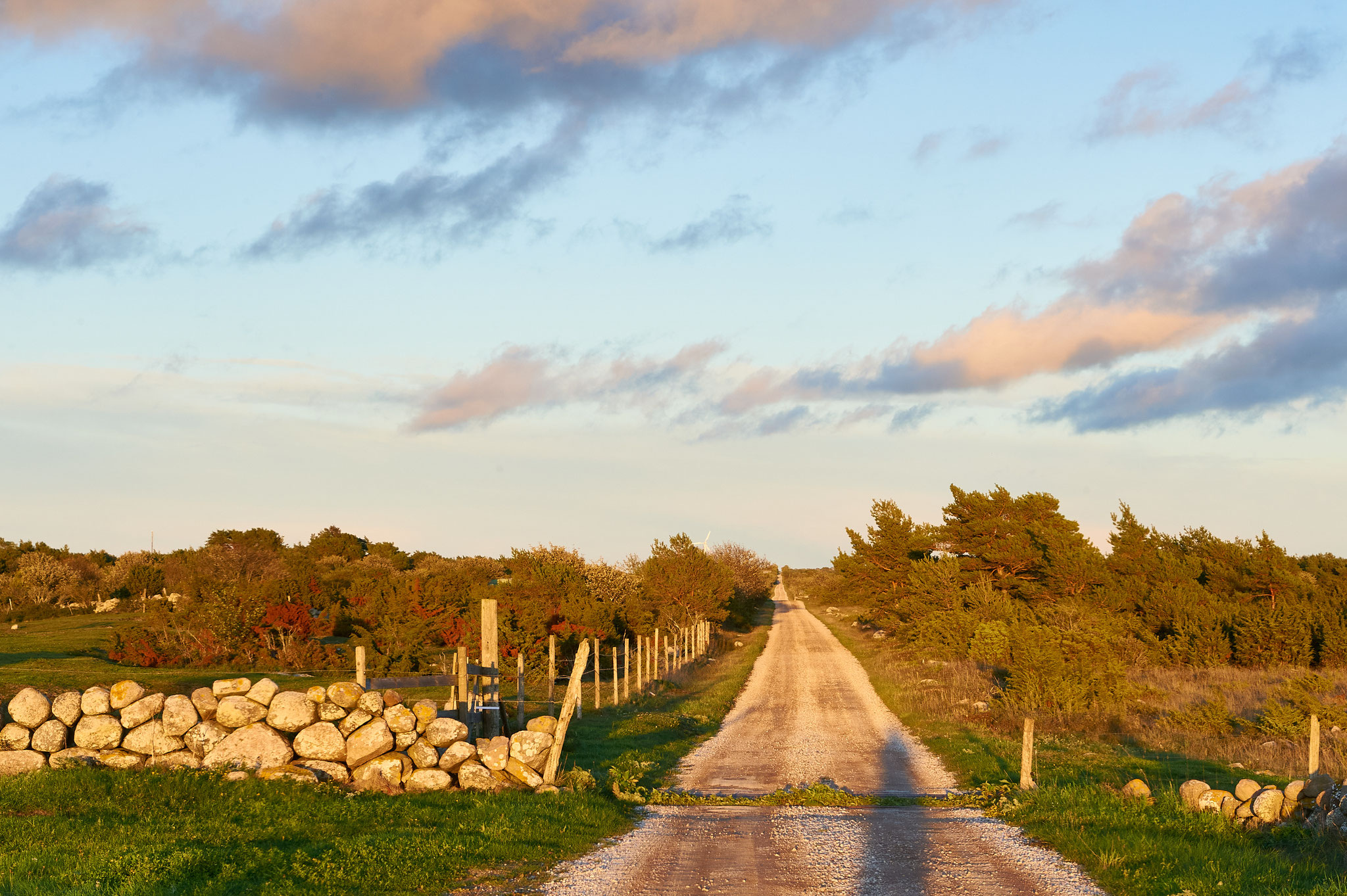 Bikepacking Schweden - Schotterstraße im Abendlicht in Südschweden – sportliche Bikepacking-Etappe von Stockholm Richtung Westküste.