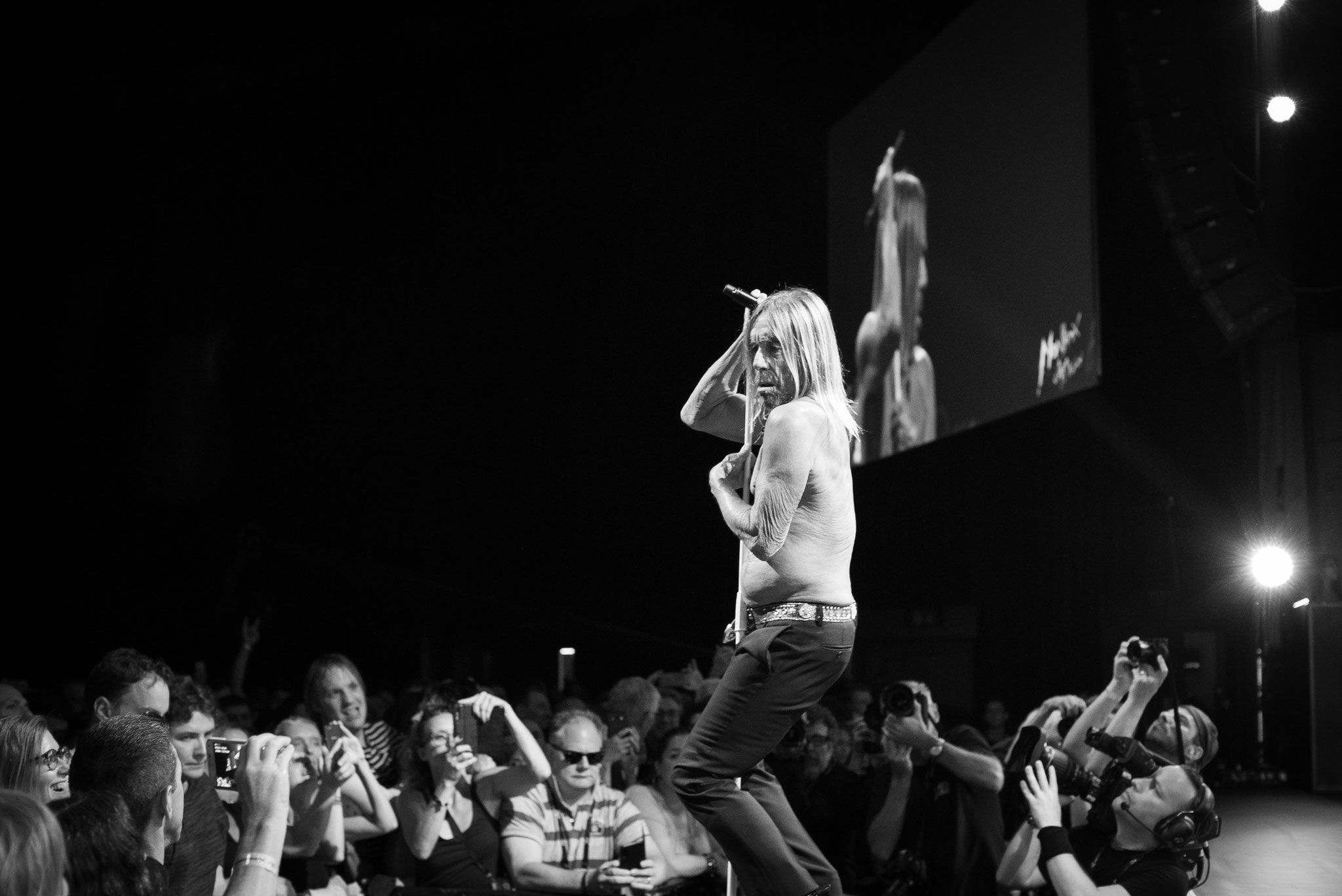 Iggy Pop