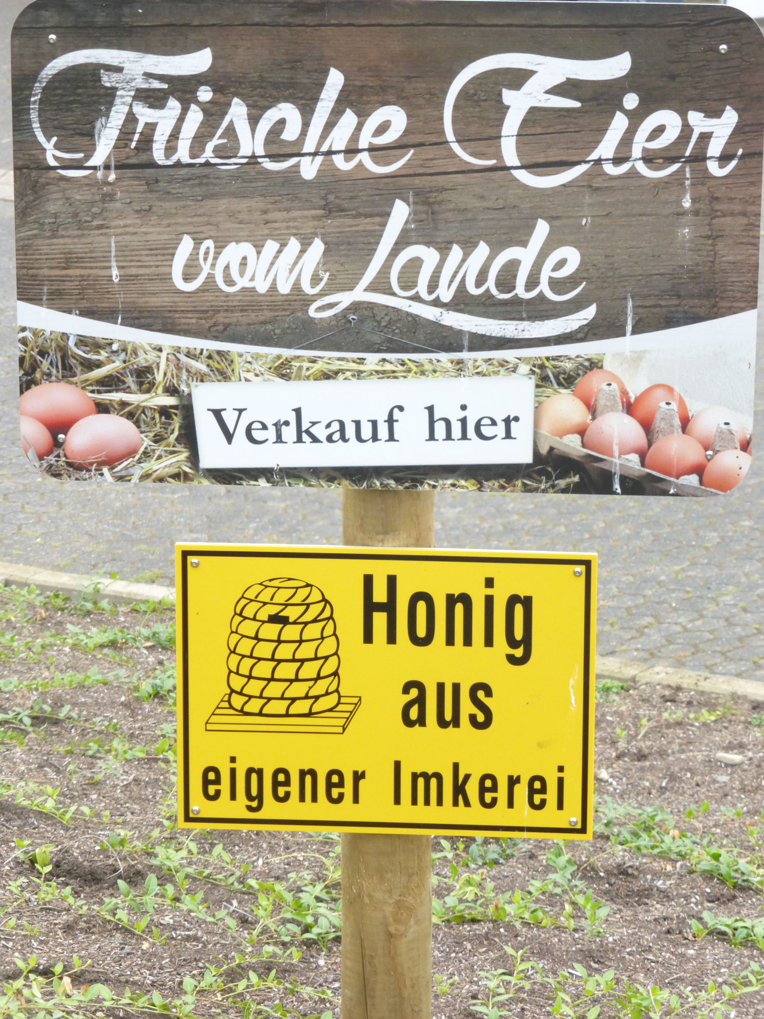 Eier von unseren fröhlichen Hühnern!! Je nach Saison bieten wir auch Gänse- und Puteneier an