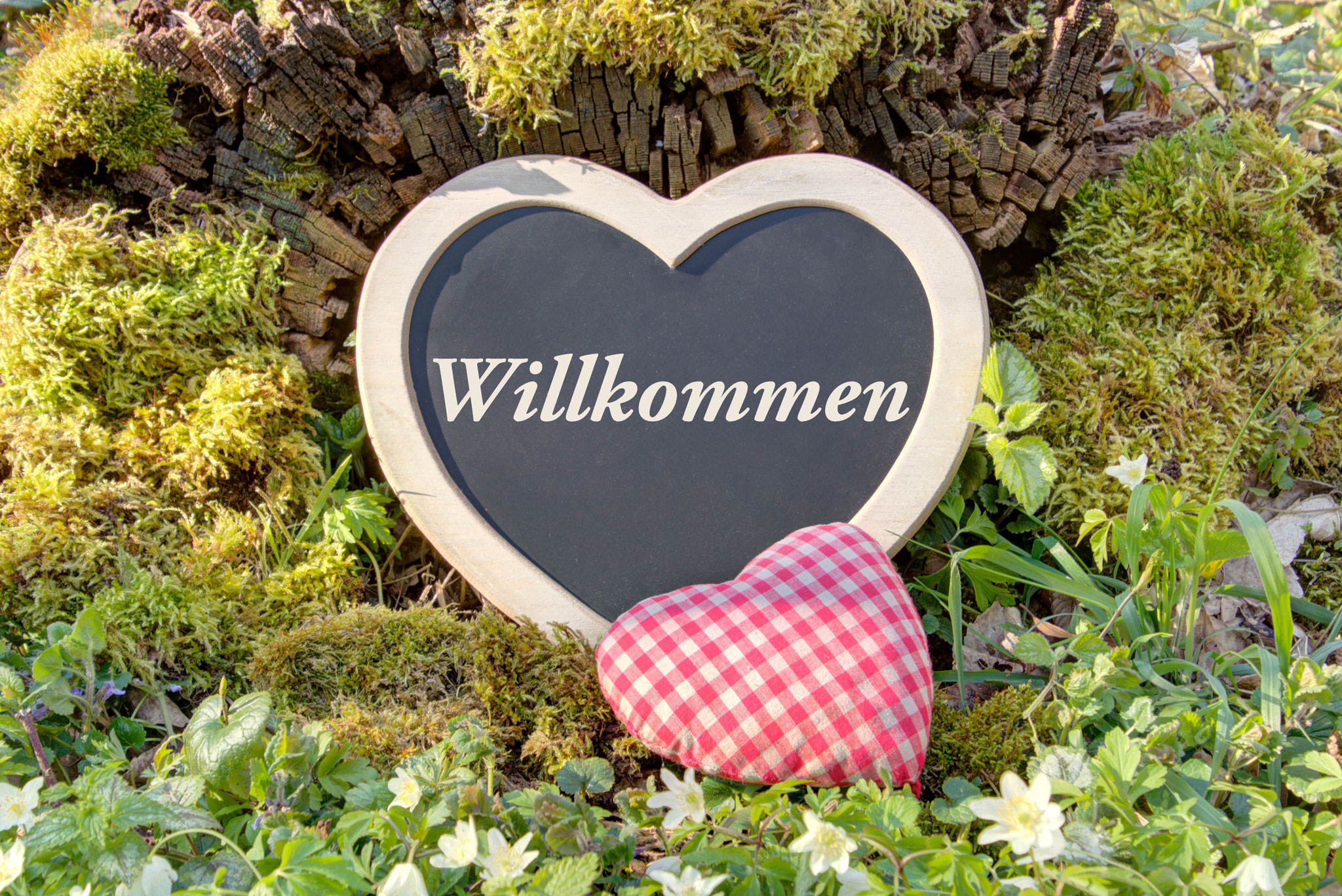 Willkommensschild mit Herztafel Willkommen und kleinem rotem Kissen auf Moos