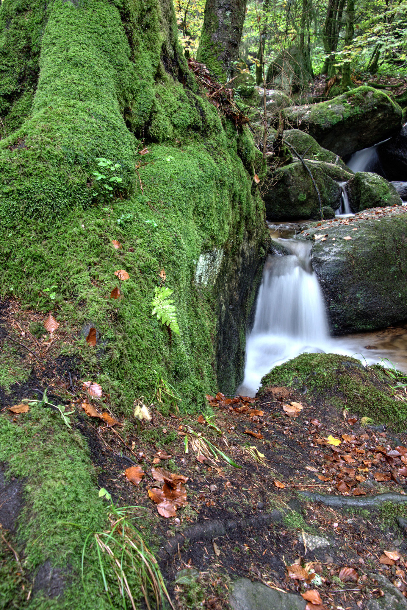 5 Gertelbacher Wasserfälle