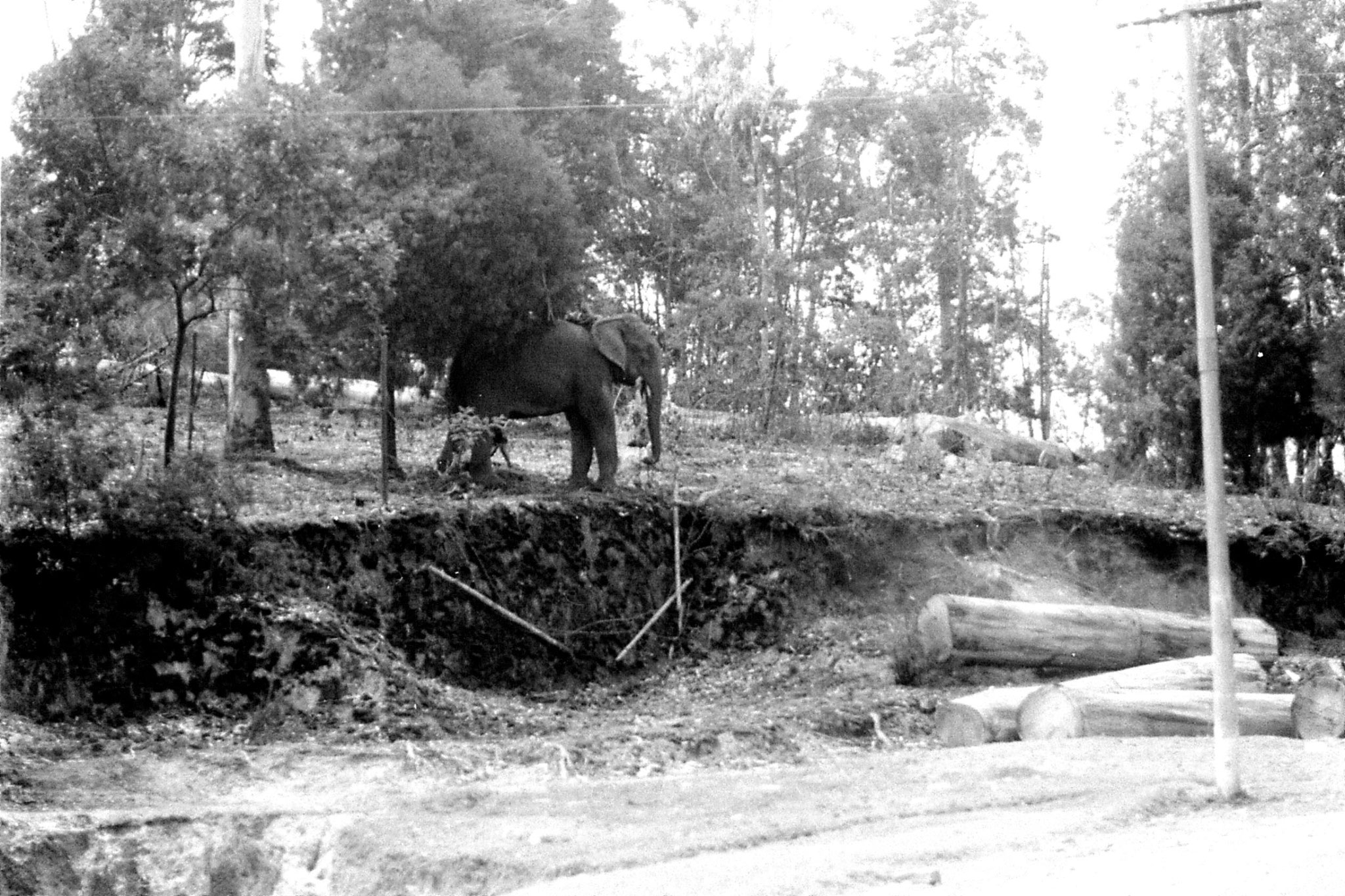 19/2/1990: 6:Kodaikanal