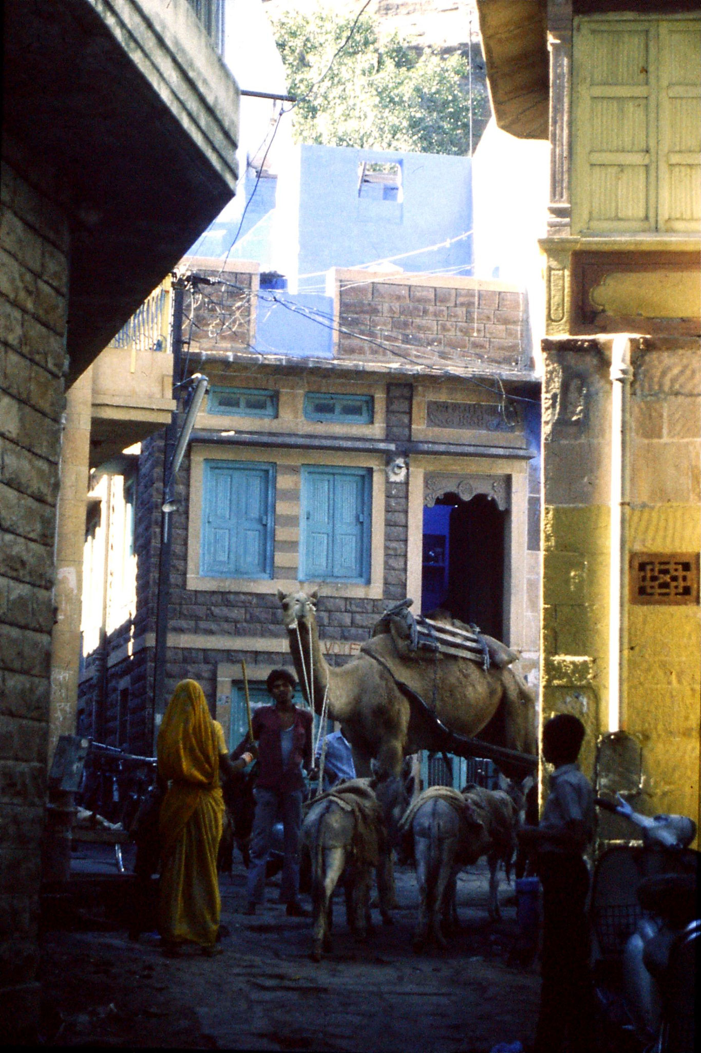 29/11/1989: 10: Jodhpur