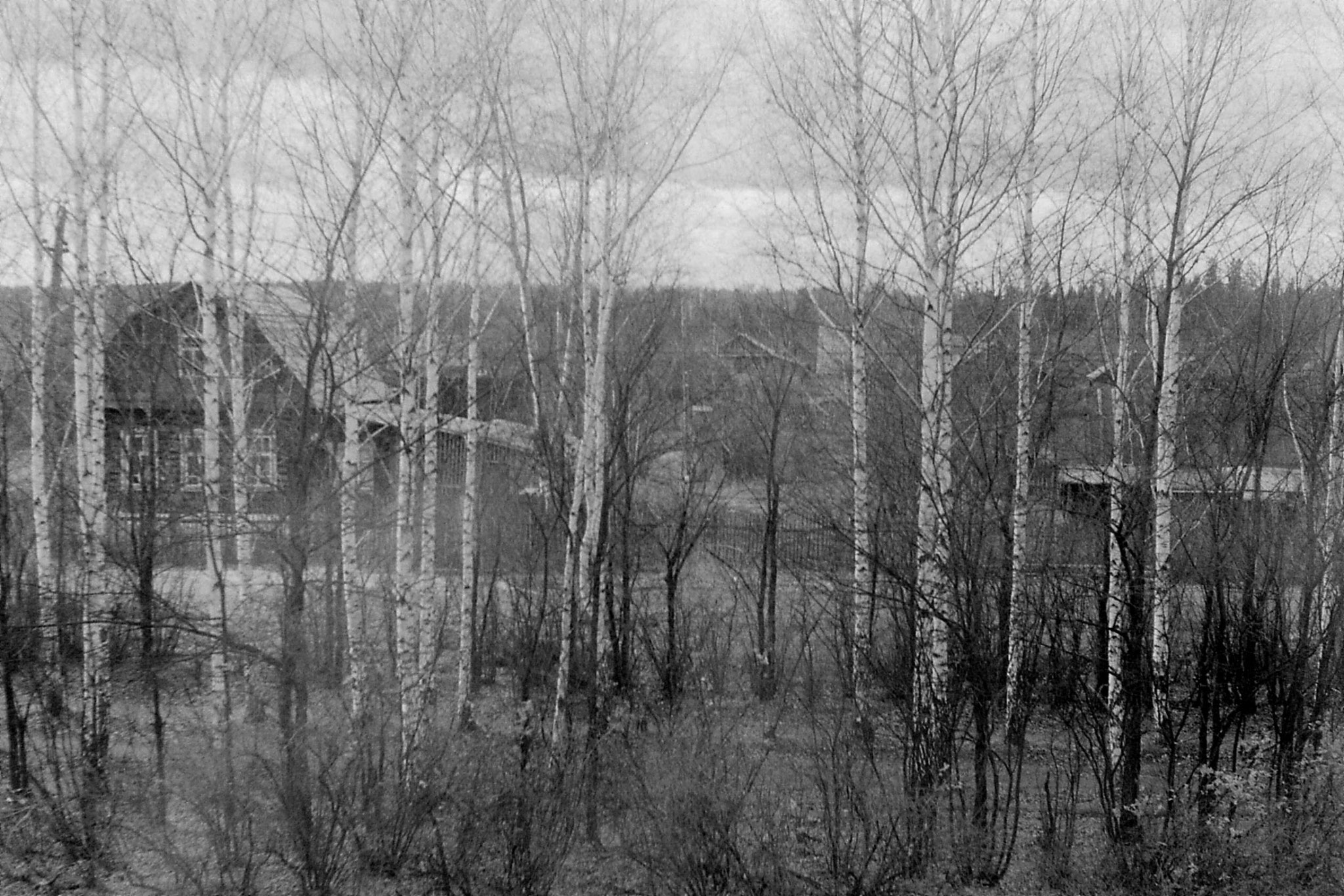 19/10/1988: 28: from Siberian Express between Balezino and Perm