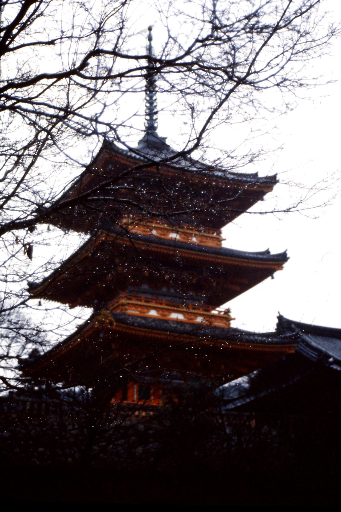 26/1/1989: 8: Kyoto