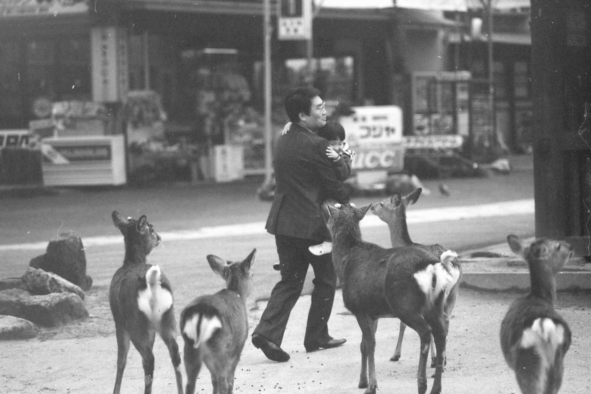 23/1/1989: 1: Miyajima