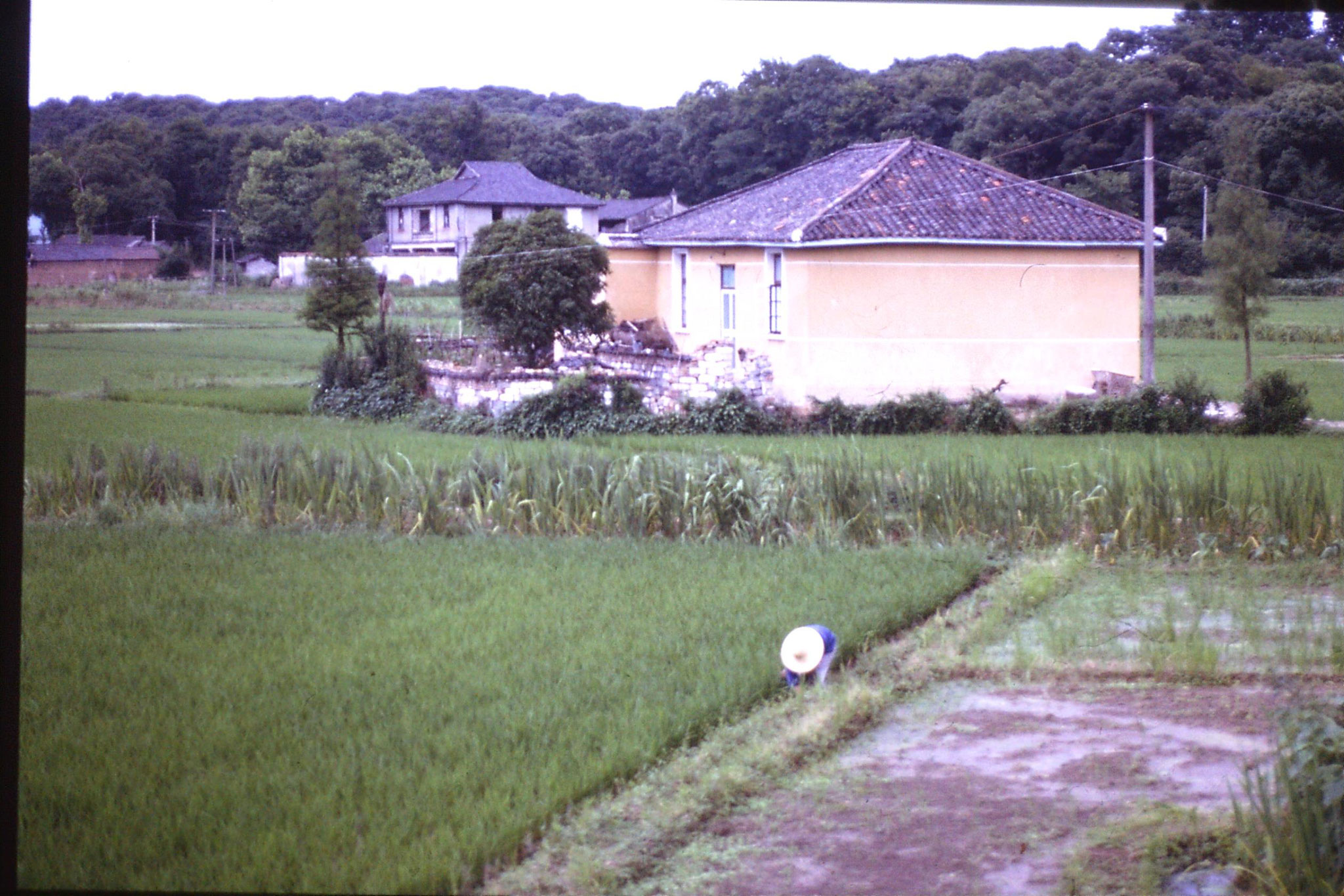 8/6/1989: 13: Hangzhou, near Zhejiang Guest House