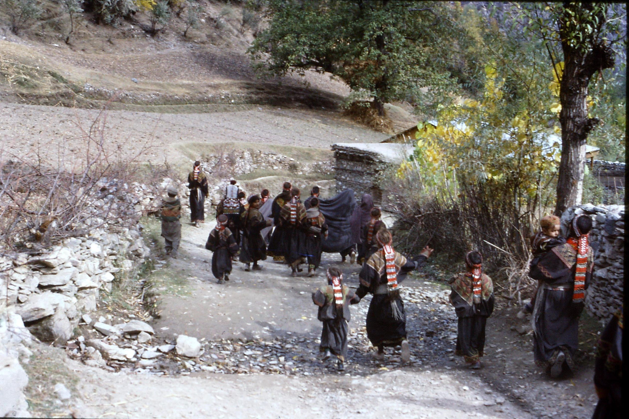 1/11/1989: 3: Kalash Valley, Bumburet, after bridal procession