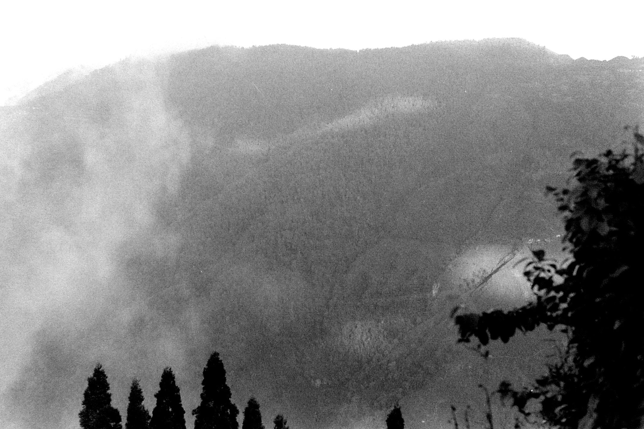 1/5/1990: 8: Darjeeling panorama