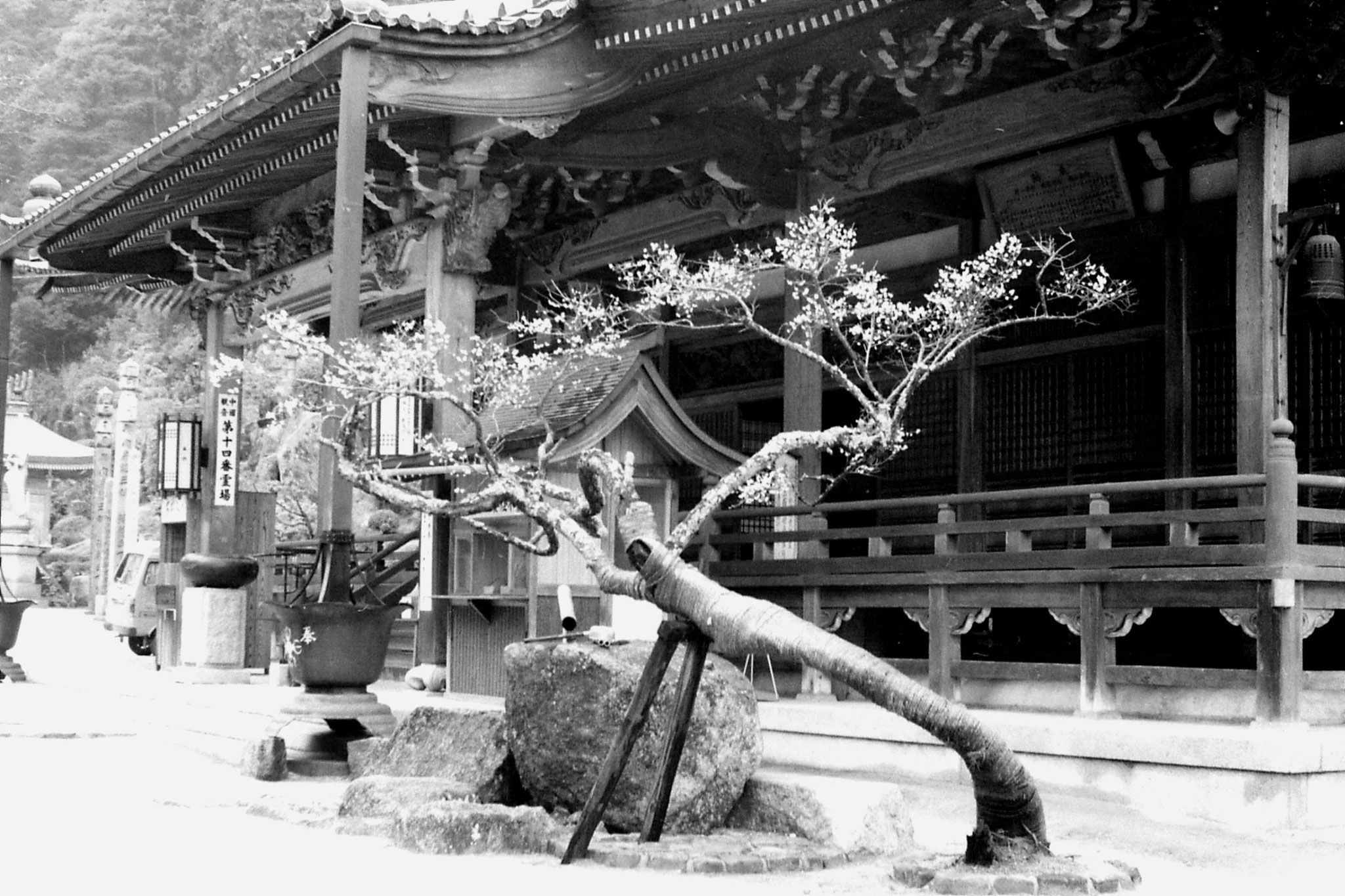 23/1/1989: 7: Miyajima: Dashoin Temple