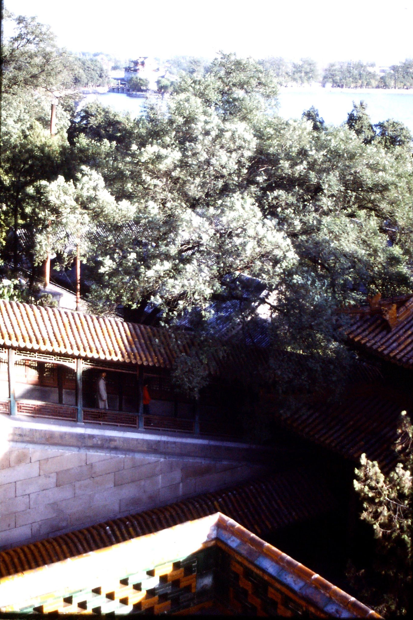 1/11/1988: 12: Summer Palace