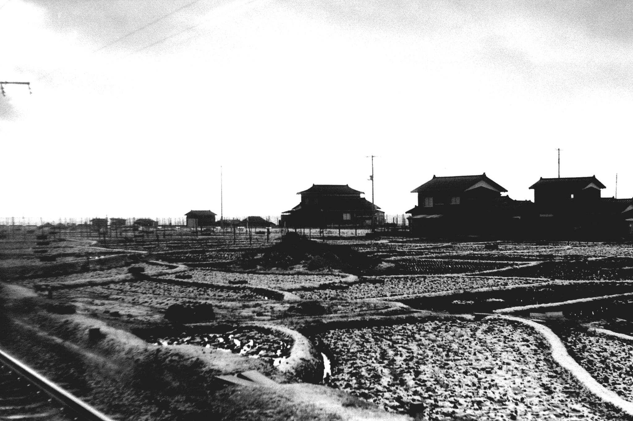 16/1/1989: 3: sea and rice fields