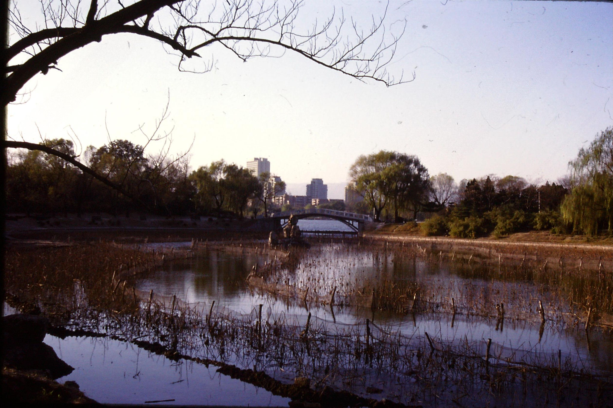 19/11/1988: 37: Beijing