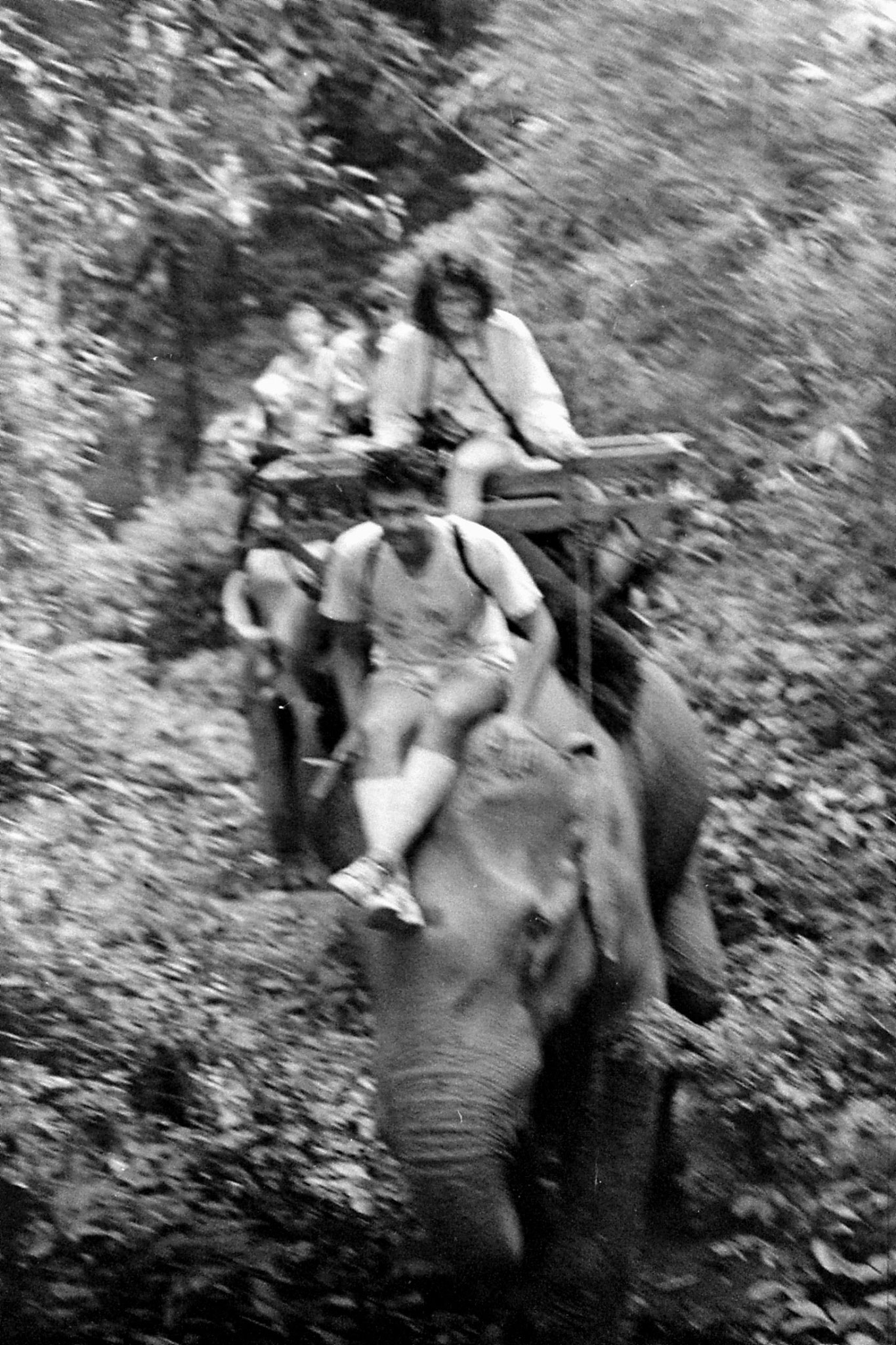 13/6/1990: 25: Last day of Trek, on elephant