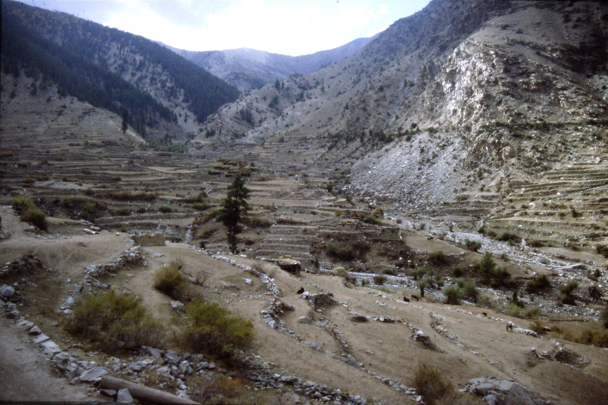 6/10/1989: 35: Babusar village