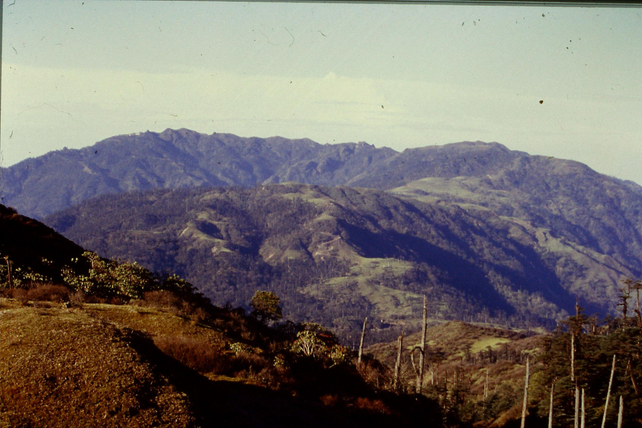 8/5/1990: 28: yesterday's walk SSW