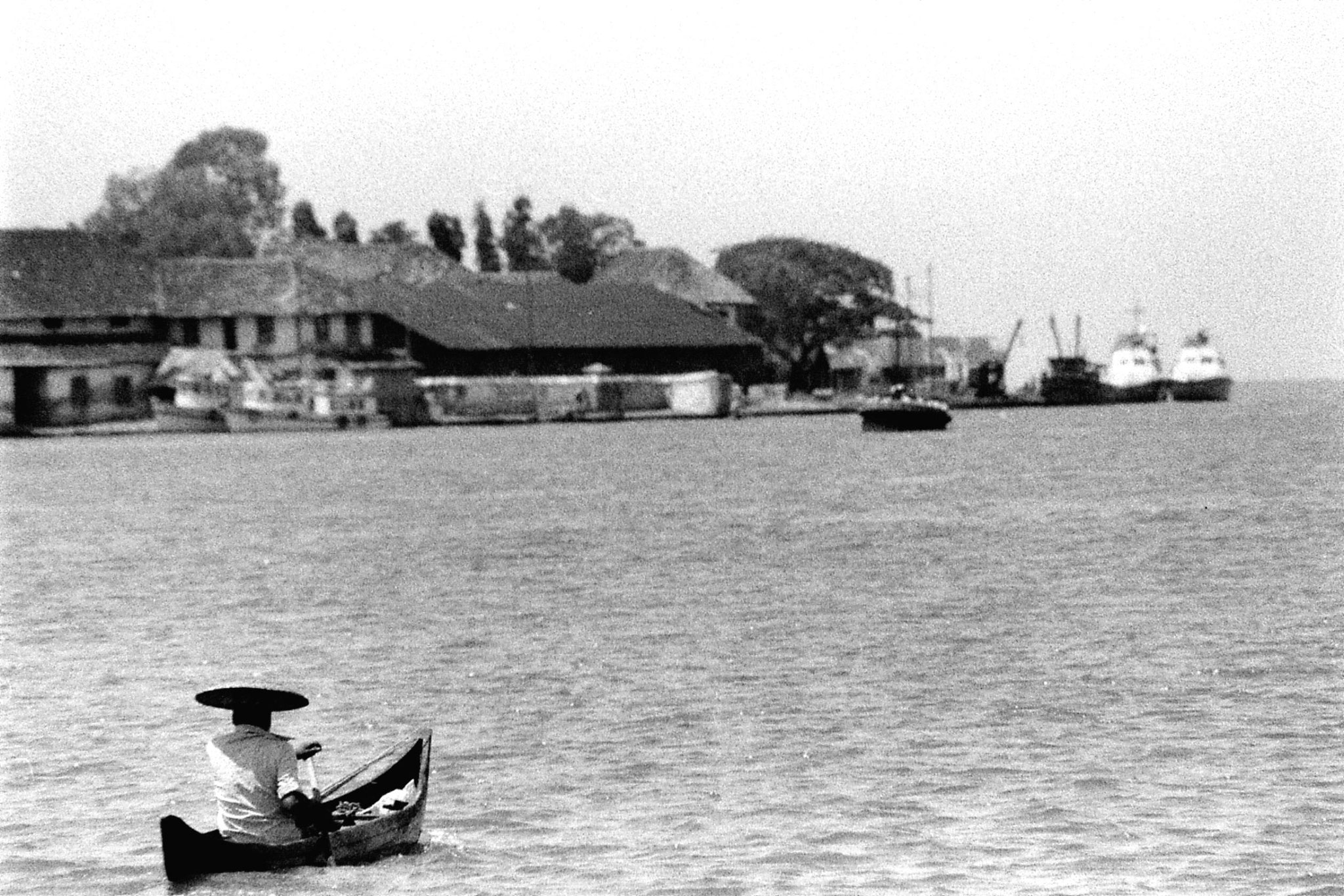 25/2/90: 3: Cochin dolphins and views of Fort Cochin