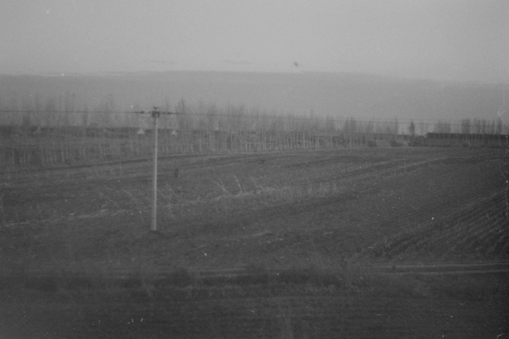 27/10/1988: 25: fields after Harbin