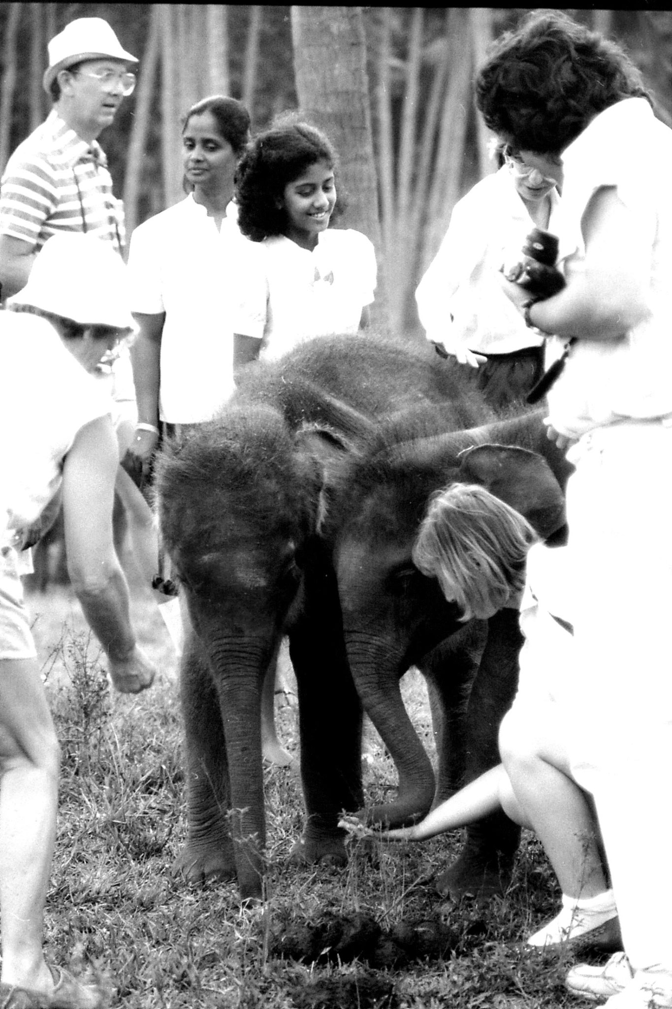 10/2/90: 31: Kegalla elephant orphanage