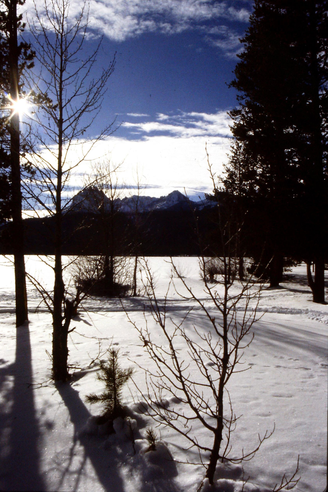 26/1/1991: 5: Red Fish Lake