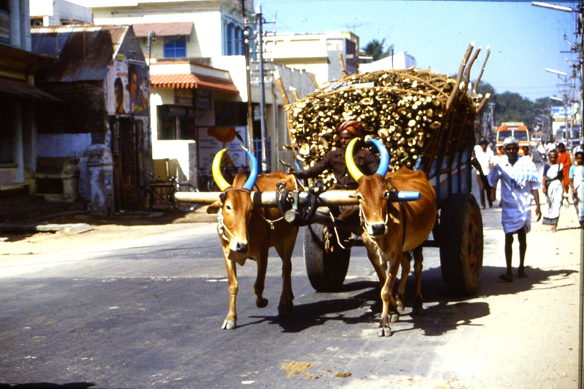 19/1/1990: 19: bullock cart