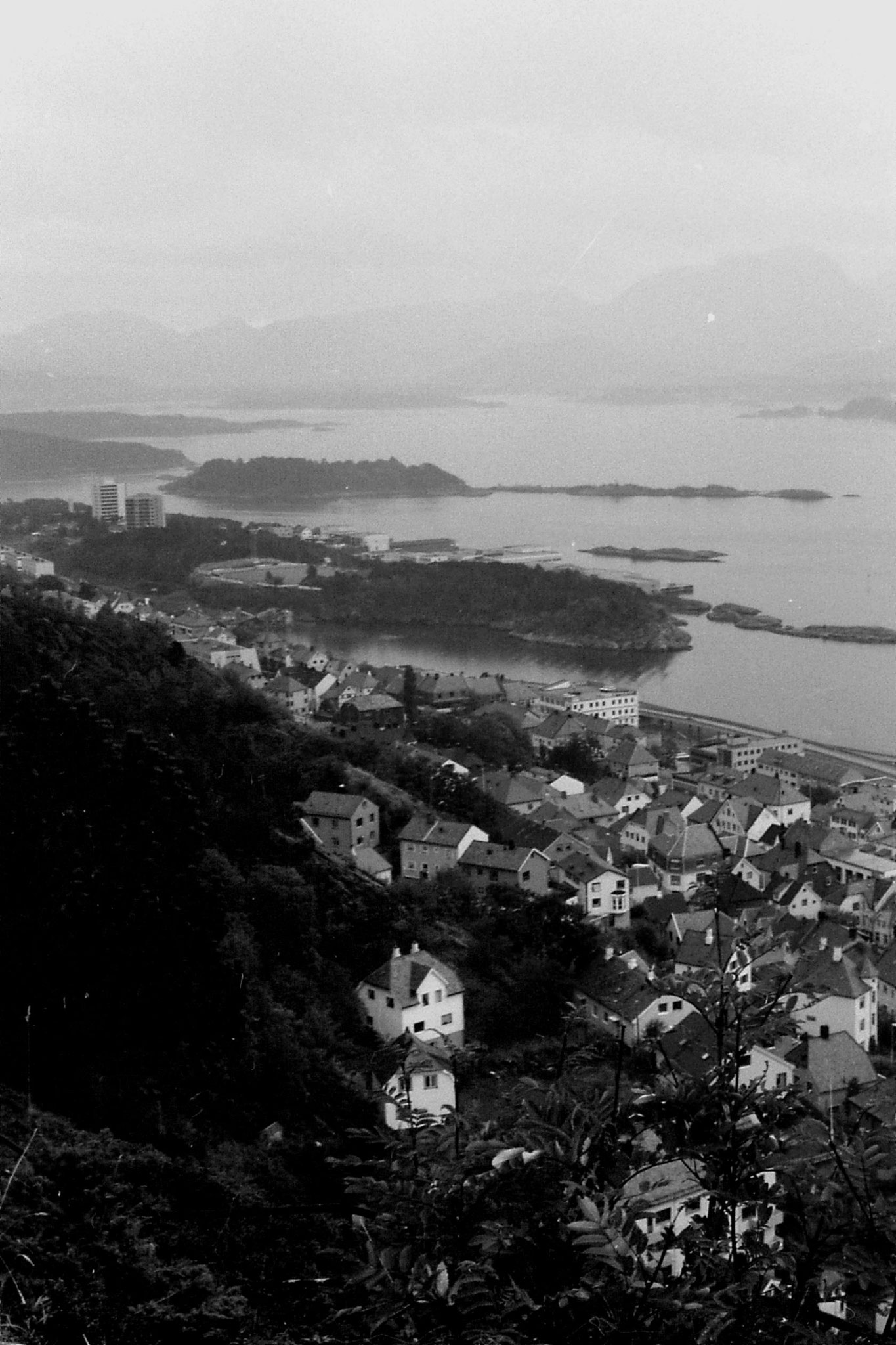 31: Alesund from hill