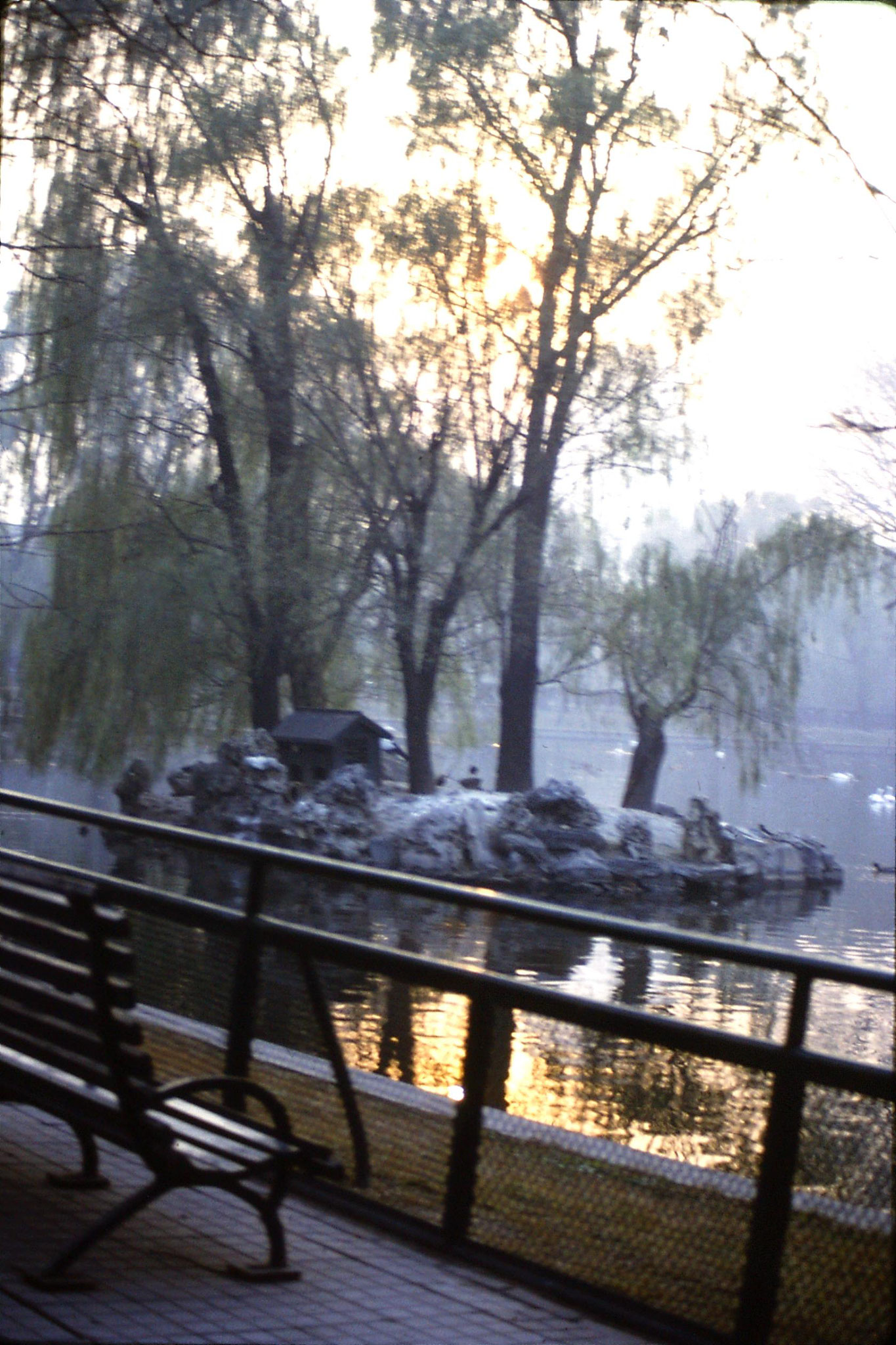 19/11/1988: 35: Beijing Zoo bird section