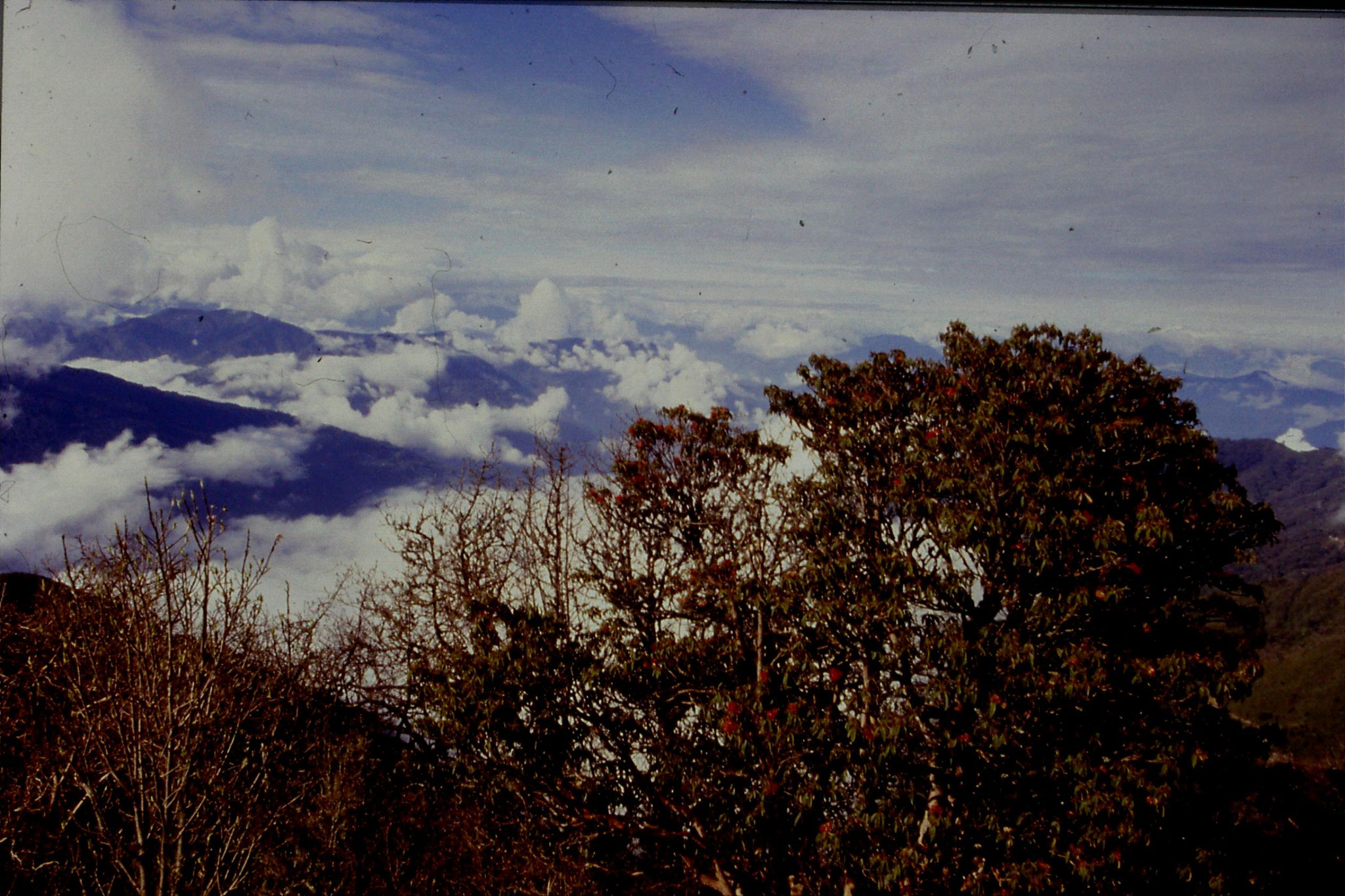 4/5/1990: 5: near Tonglu, view towards Kanchenjunga