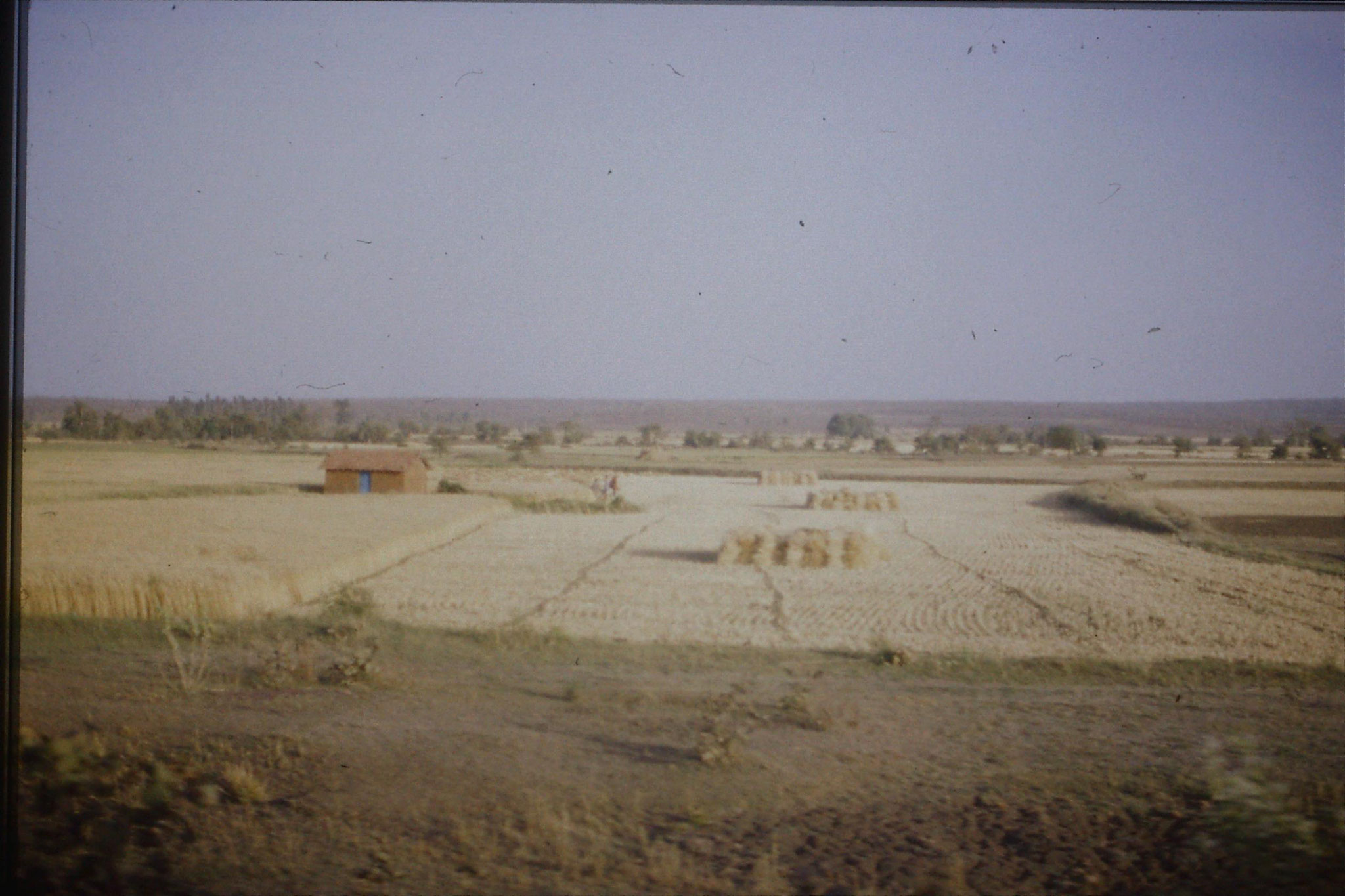 108/31: 24/3/1990 on train soon after Bhopal looking east