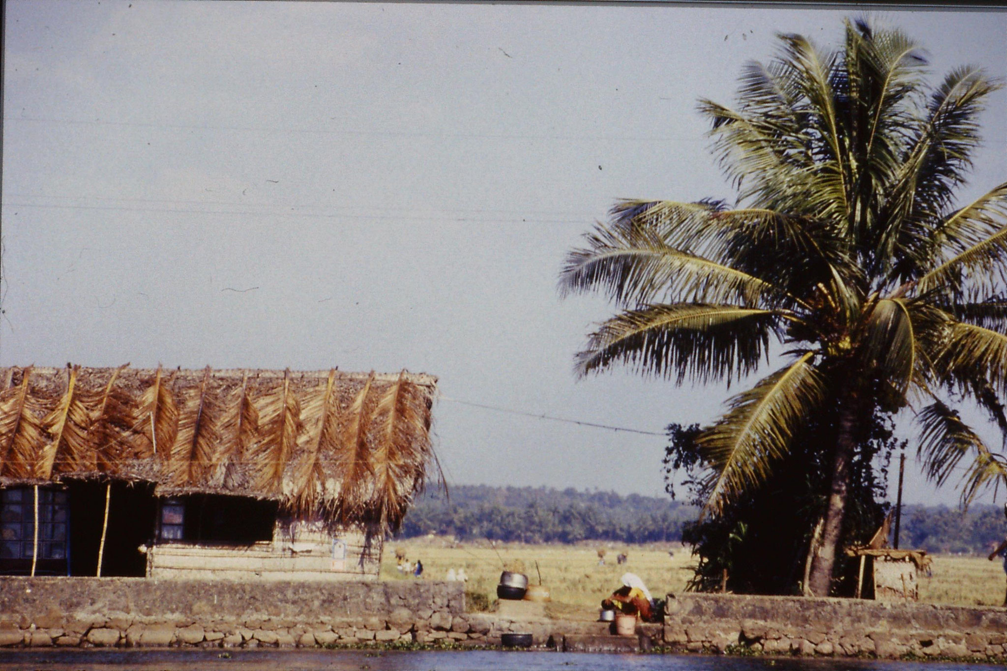 106/6: 23/2/1990  Boat to Alleppey