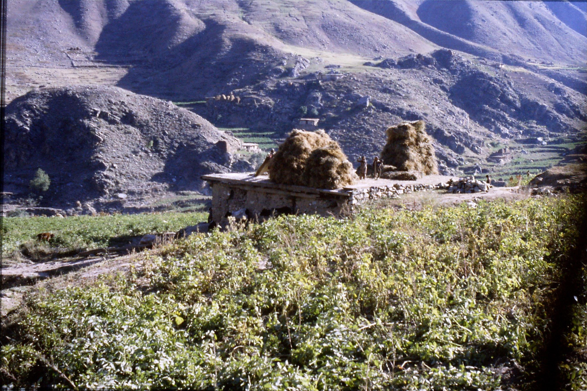 6/10/1989: 19: Kaghan Valley route to Batacundi