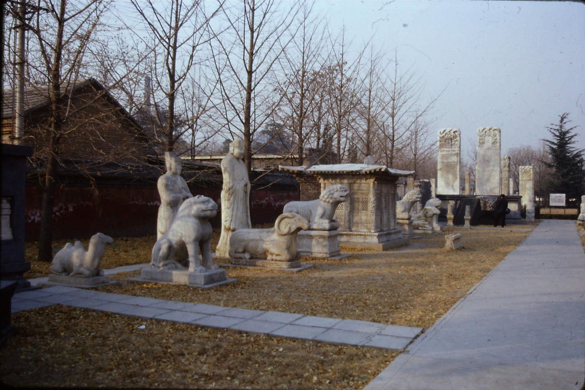 29/11/1988: 10:Wutasi Five Pagoda Temple near zoo