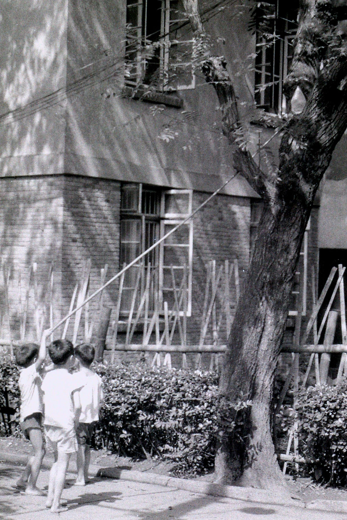 14/7/1989: 22: boys catching crickets at Zheda