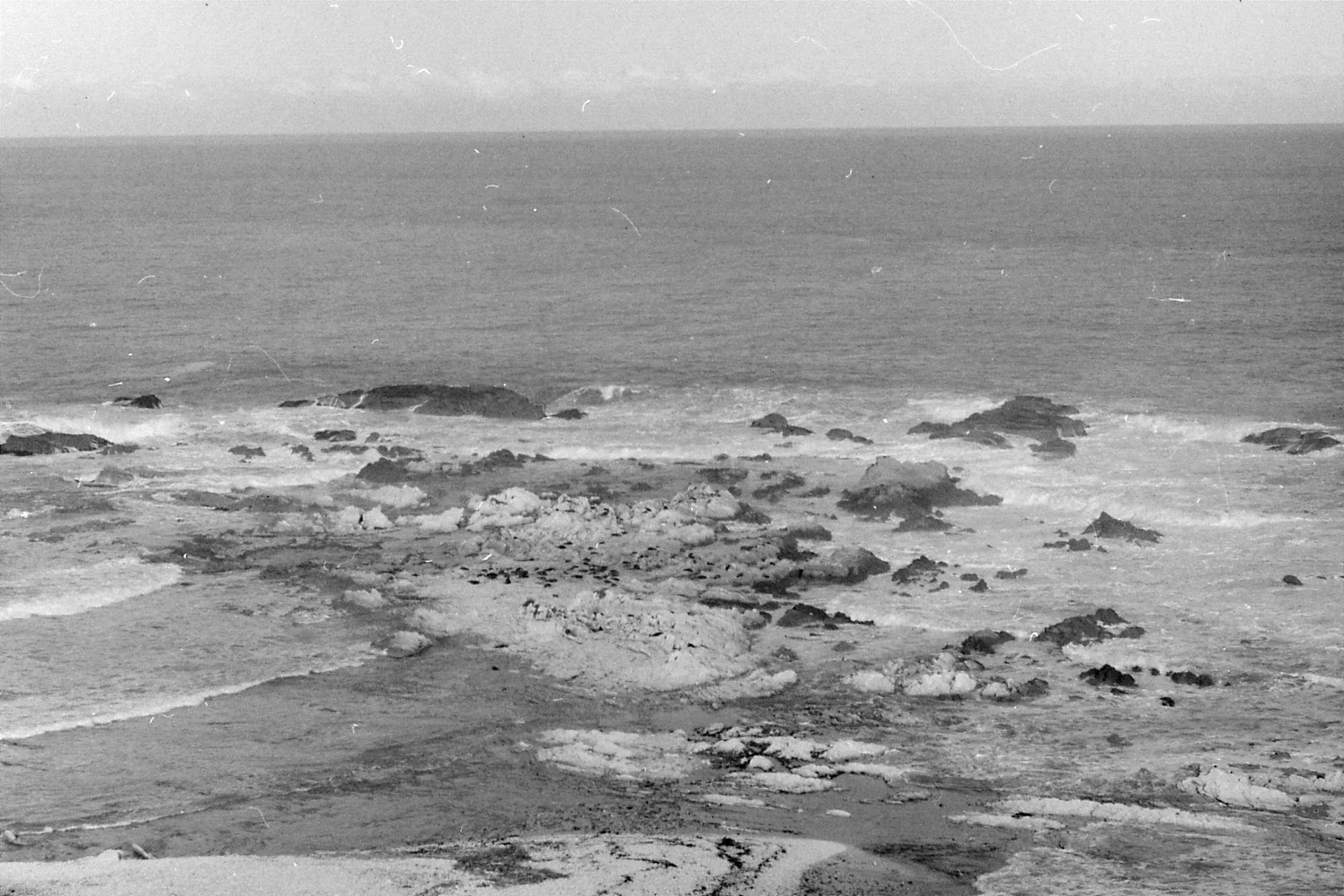 9/8/1990: 9: Kaikoura second seal colony