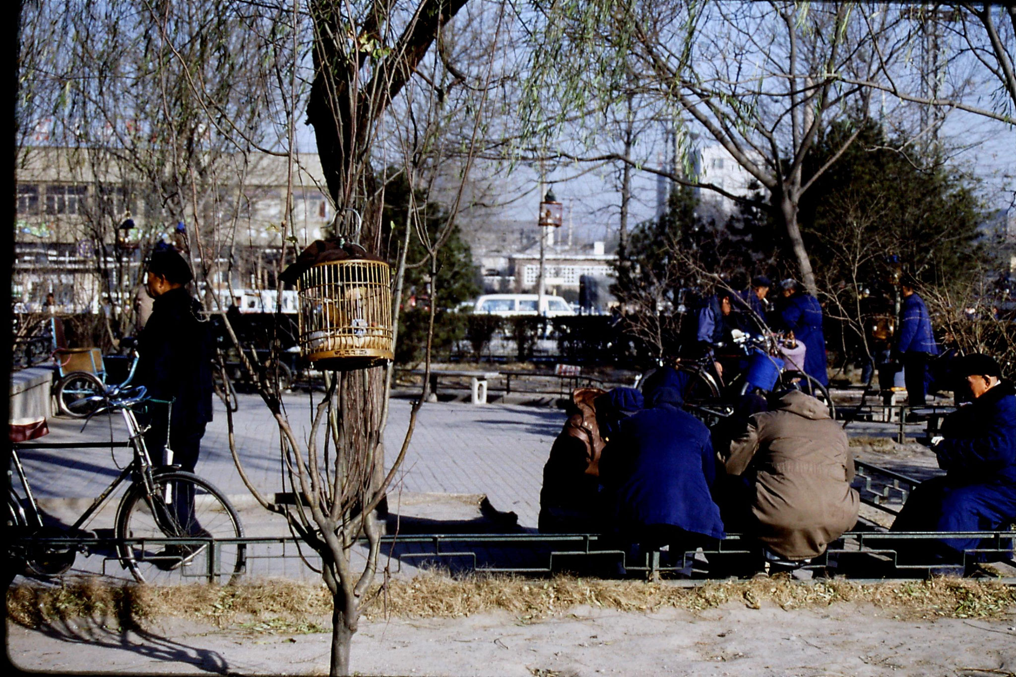 5/12/1988: 13: bird cages near China Photo