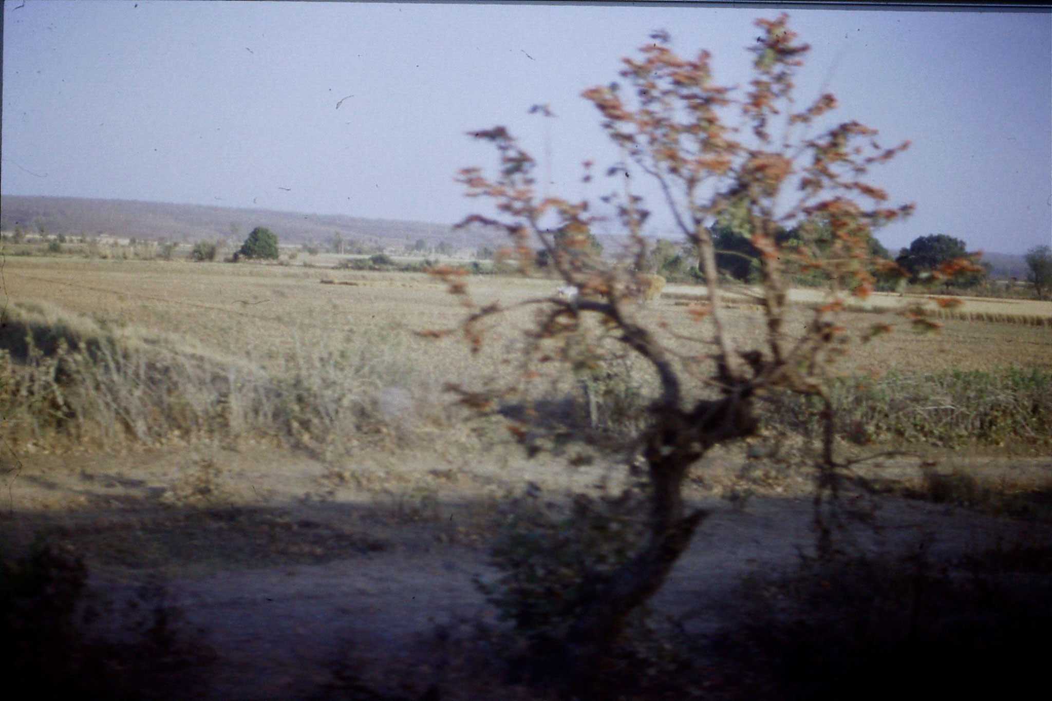 108/30: 24/3/1990 on train soon after Bhopal looking east