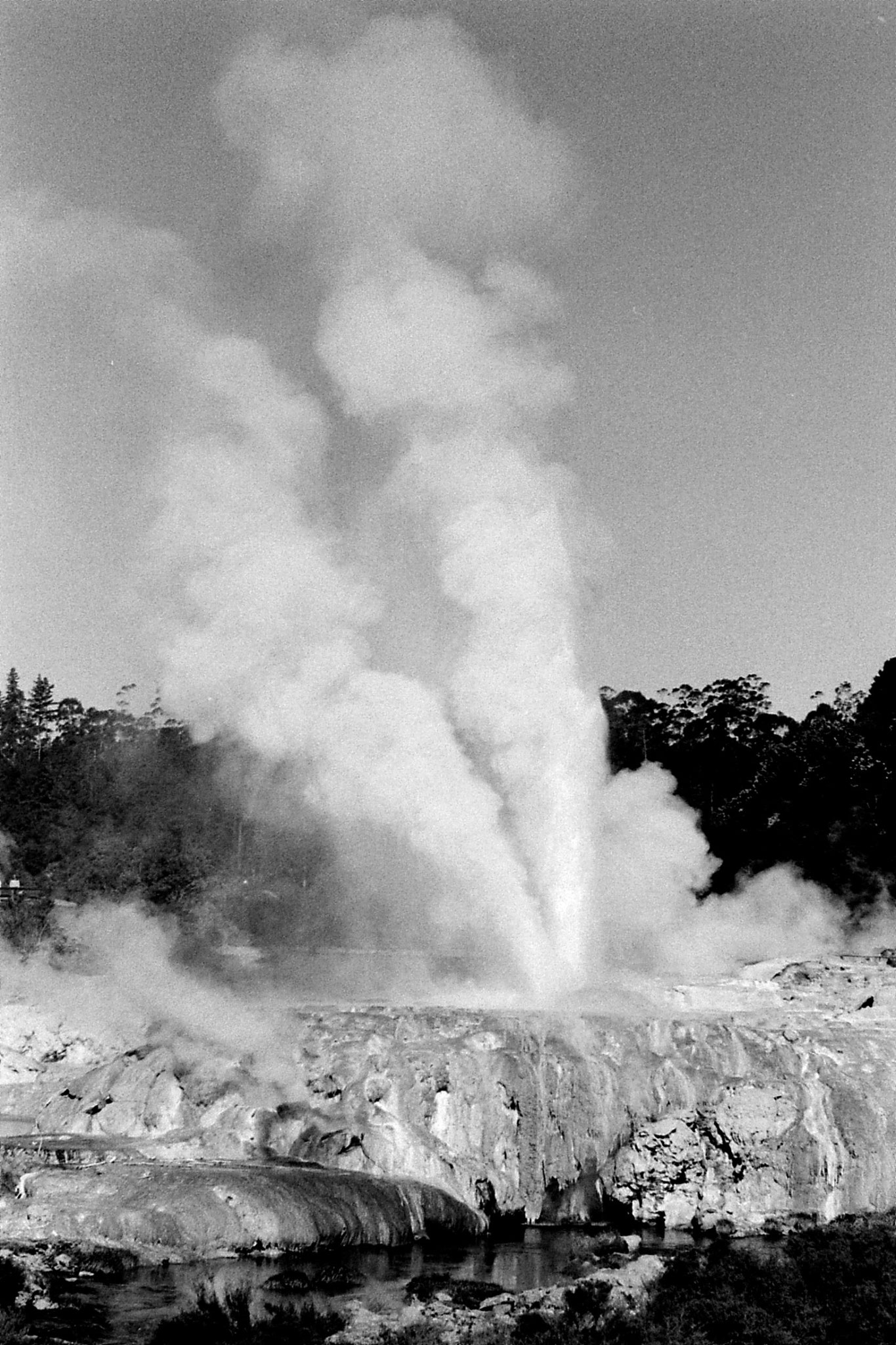 31/8/1990: 15: Rotorua geyser Waikorohihi