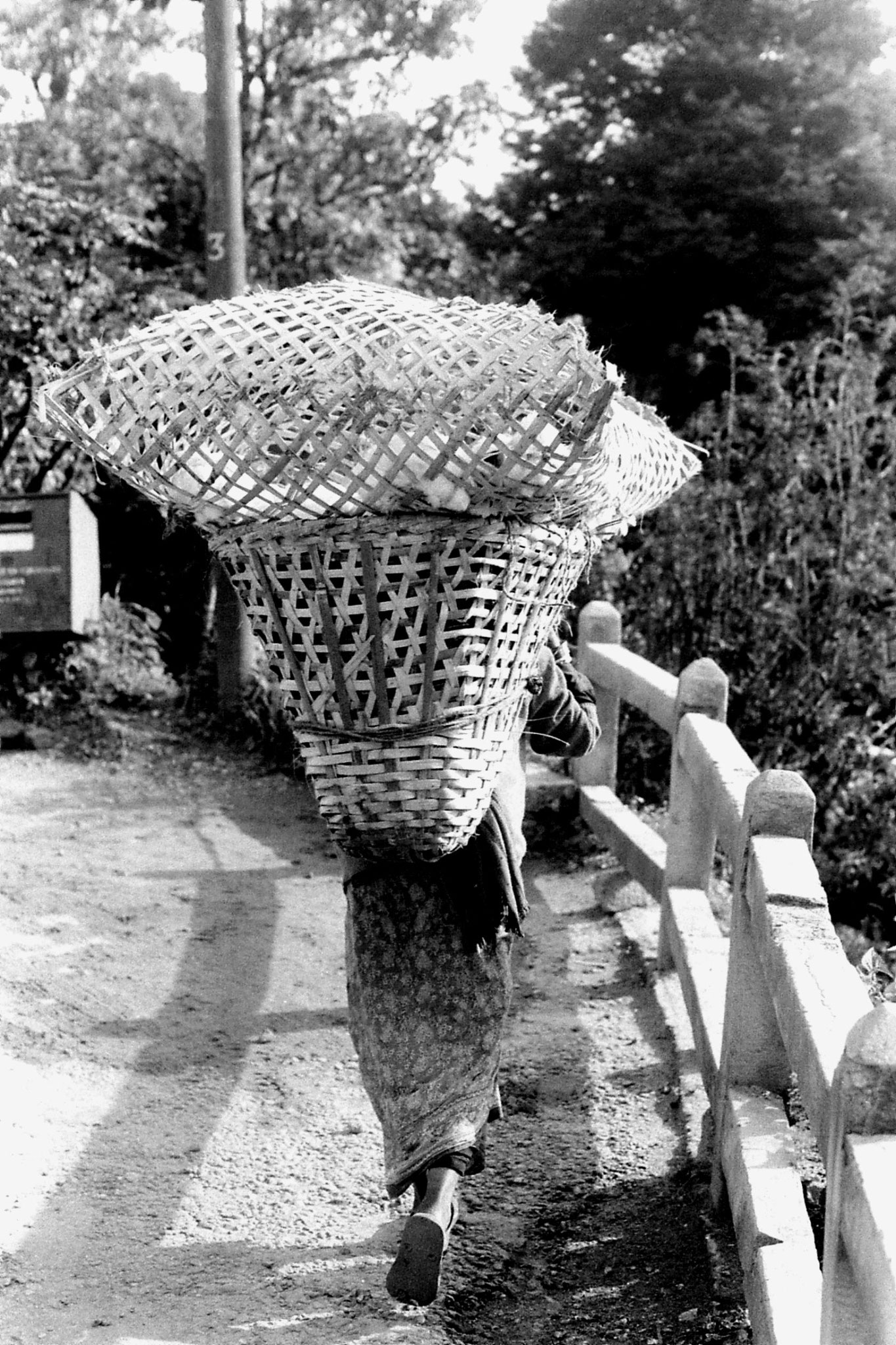 1/5/1990: 3: Darjeeling woman with chicken in basket