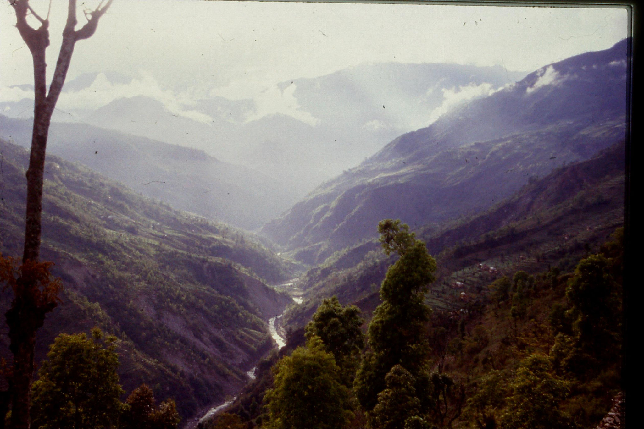 115/34: 29/4/1990 Tashiding - view west