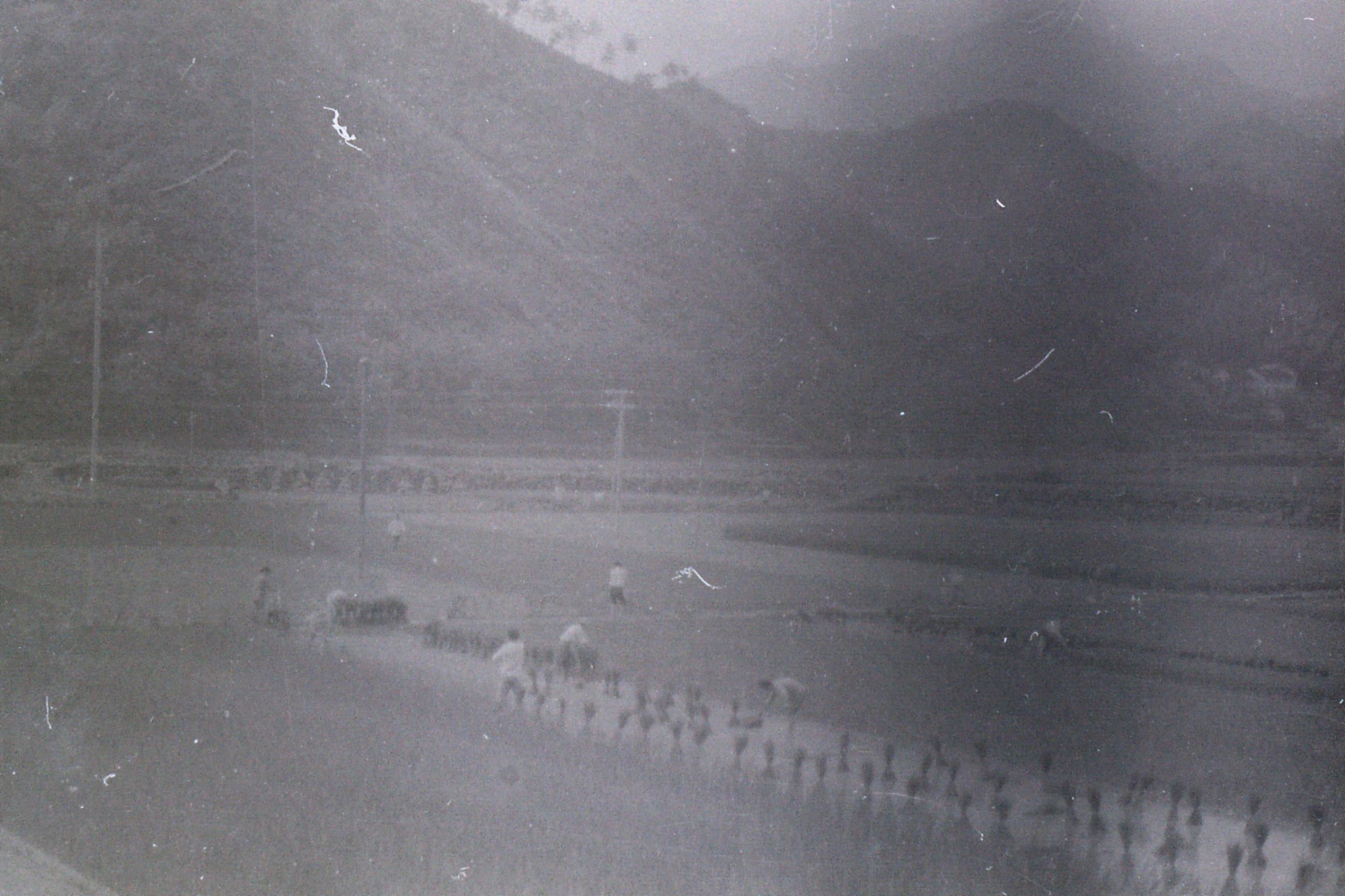 2/8/1989: 5: rice harvesting from train to Huang Shan