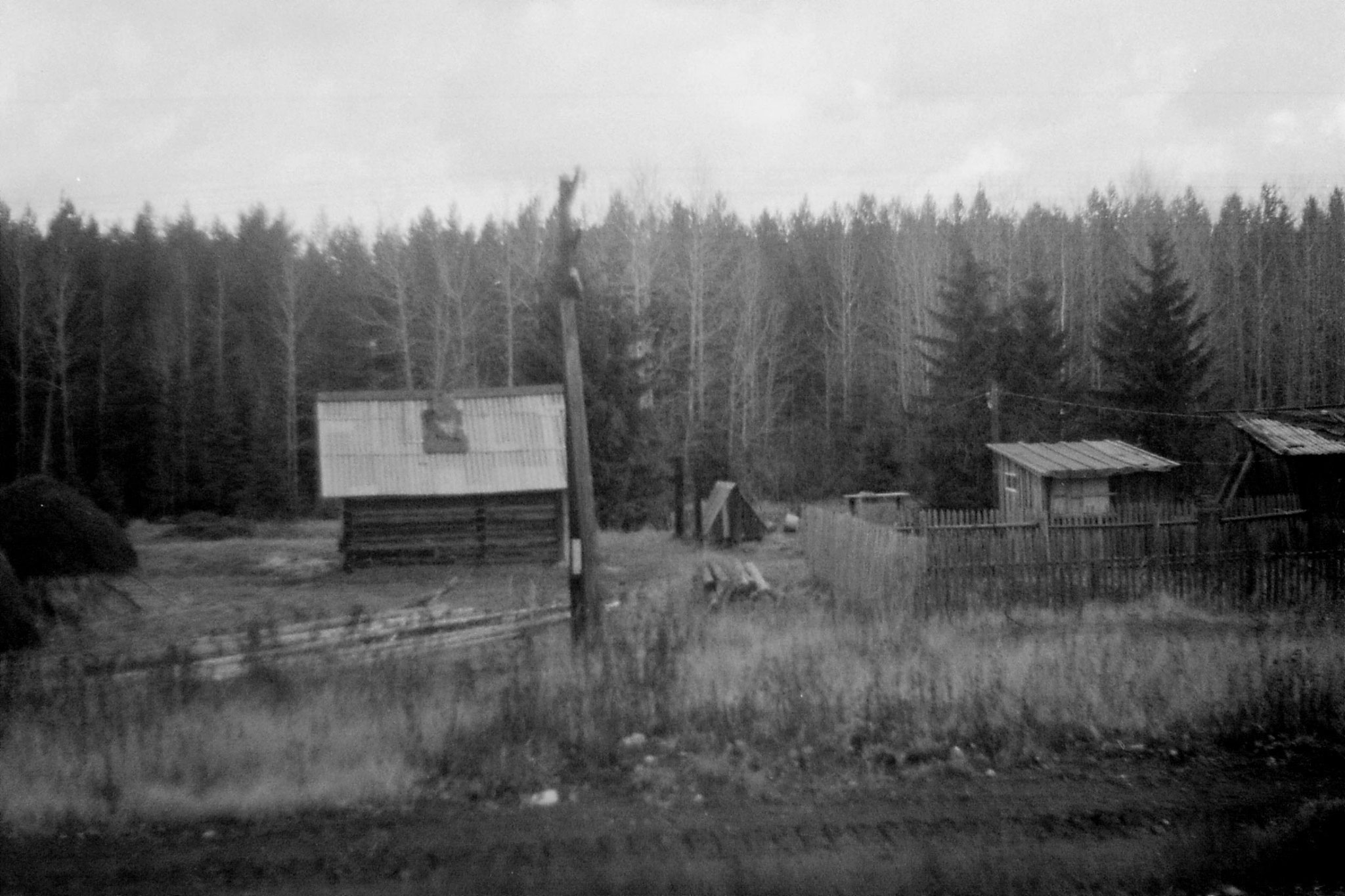 19/10/1988: 20: from Siberian Express between Balezino and Perm