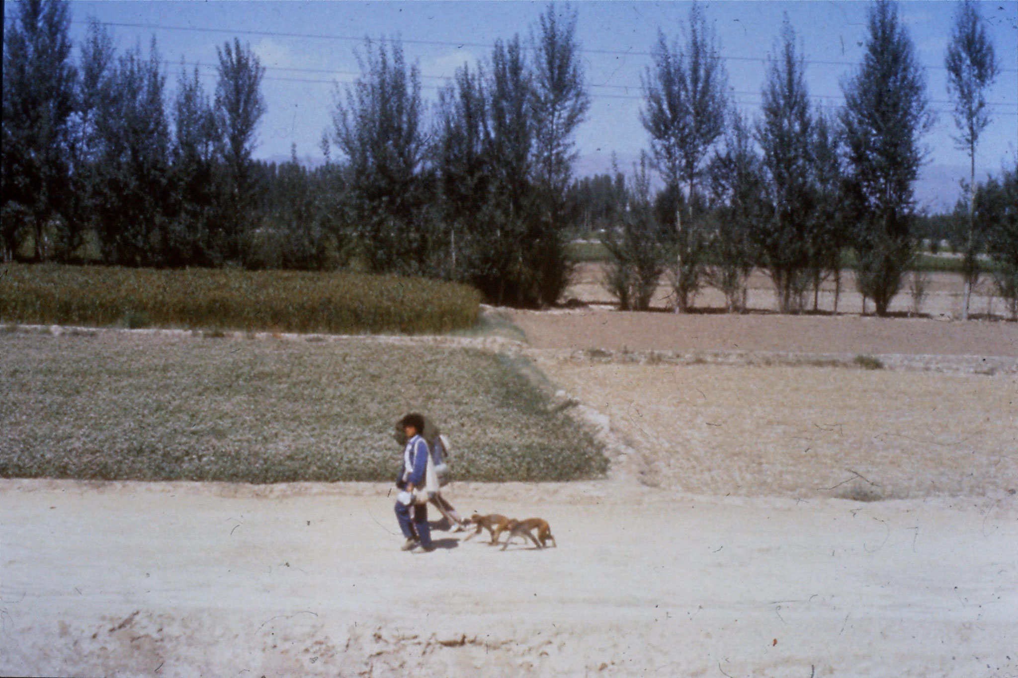 23/8/1989:13: Gansu, 1615 men leading monkeys along road