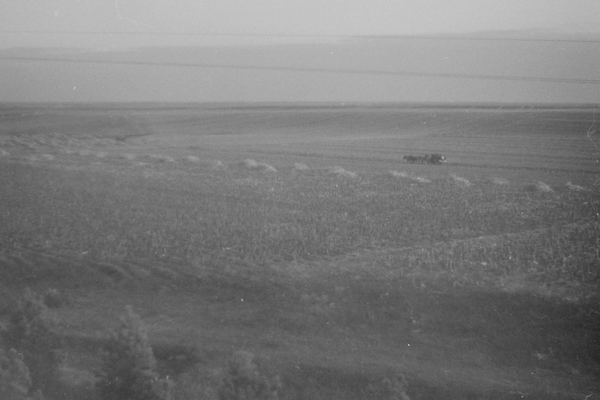 27/10/1988: 28: fields after Harbin