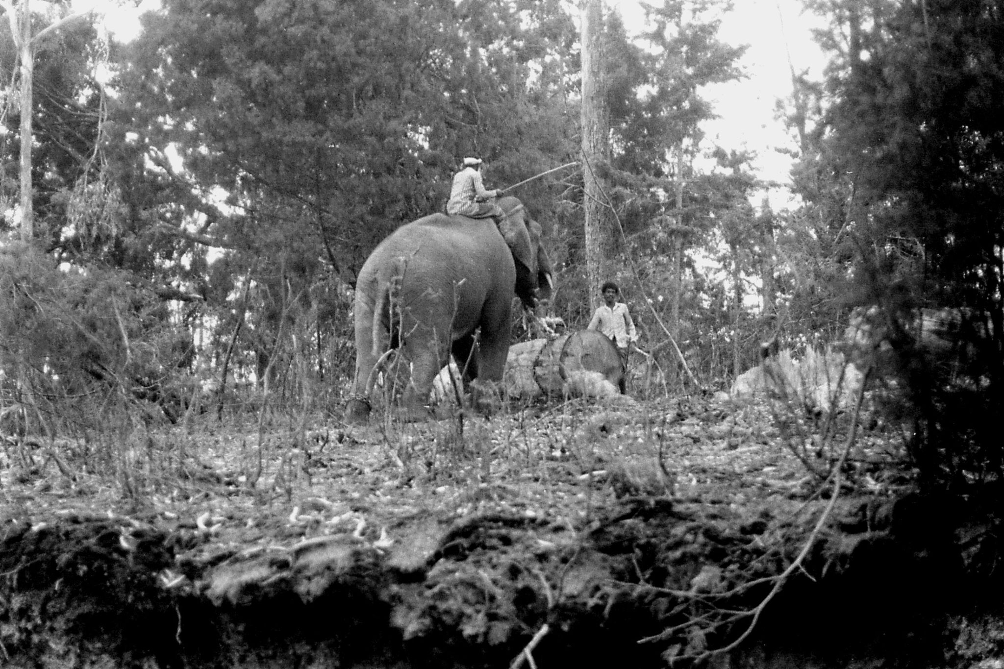 19/2/1990: 5:Kodaikanal