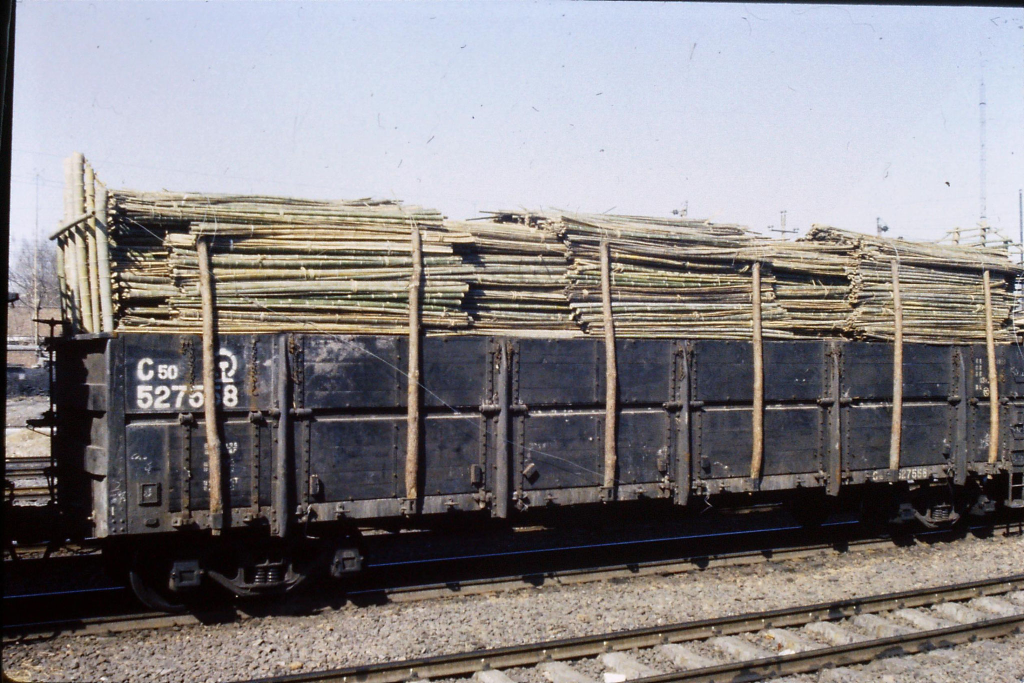 7/3/1989: 5: Journey Xian to Beijing, 1025 Anyang bamboo on train