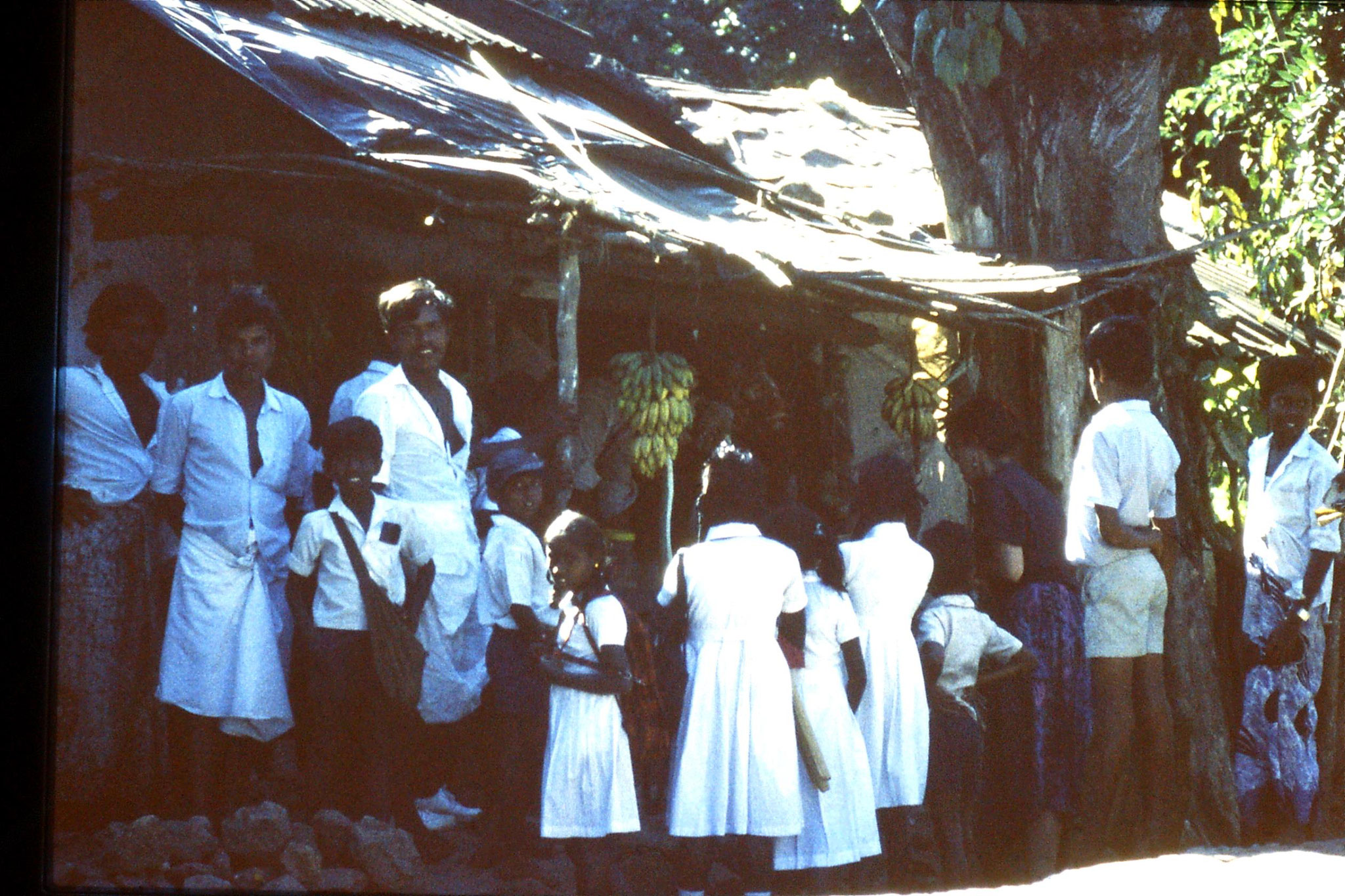 29/1/1990: 6: drive to Sinharaja, E buying fruit at Rakwana