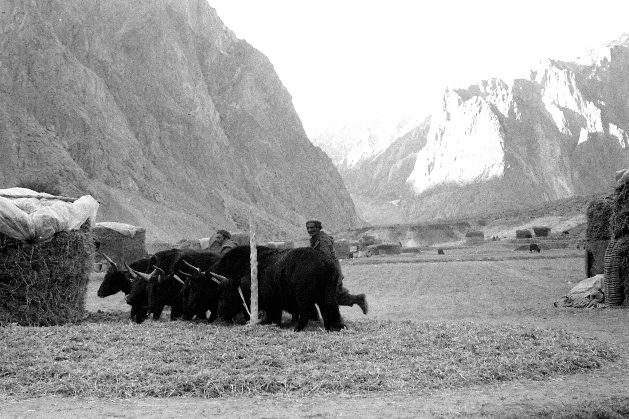 16/10/1989: 32: Masherbrum, dzos