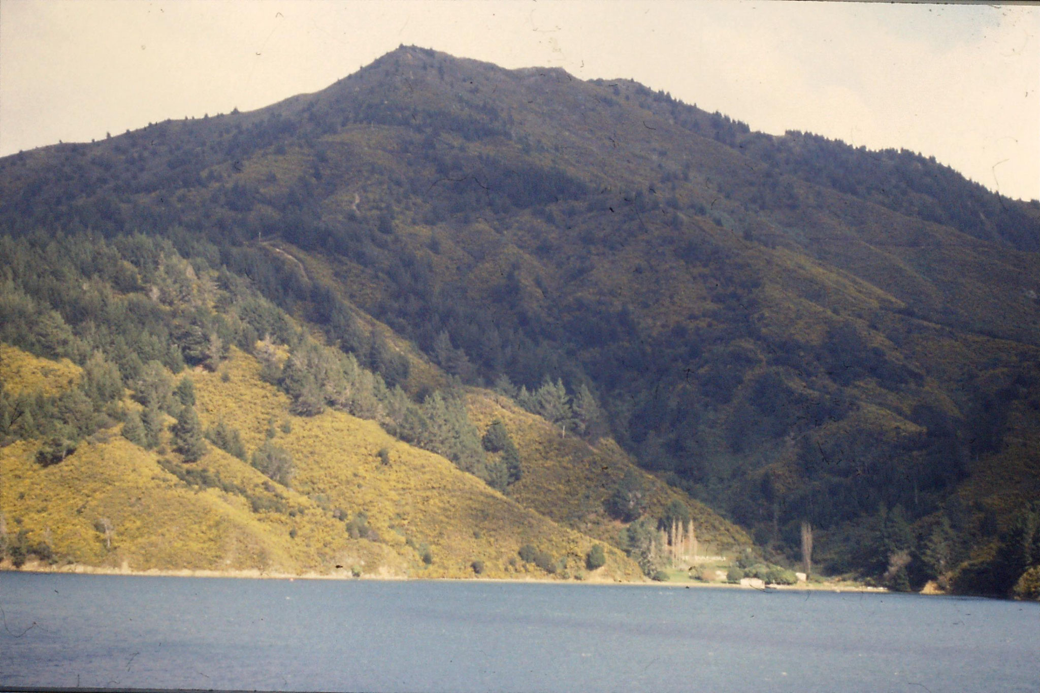 7/8/1990: 0: Wellington - Picton Ferry, Queen Charlotte Sound