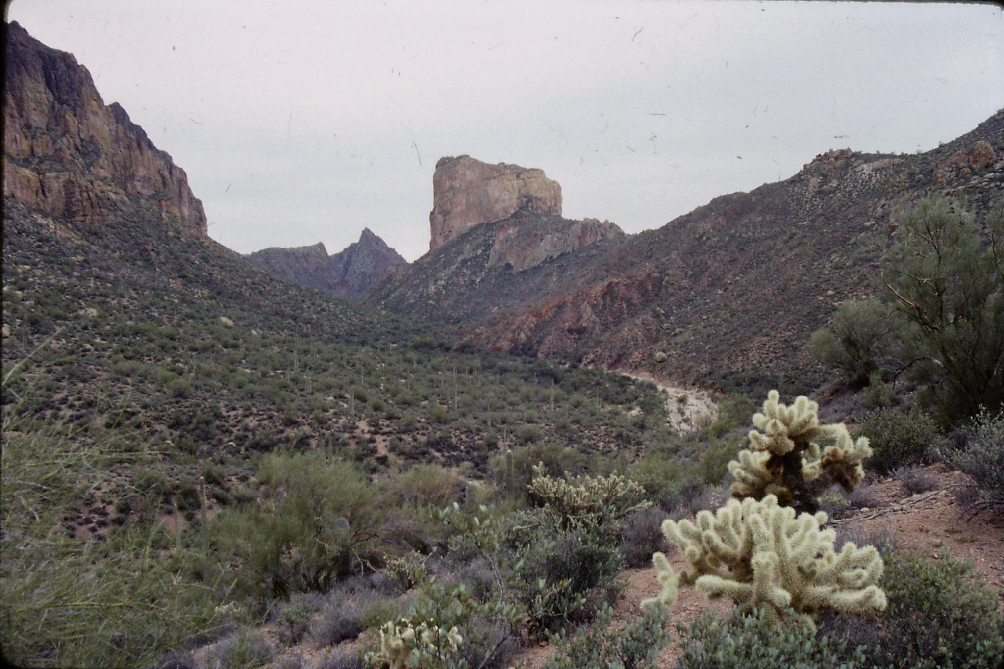 13/11/1990: 10: l to r - Geronimo Head, Battleship Mountain, Weaver's Needle, Superstition Mountain