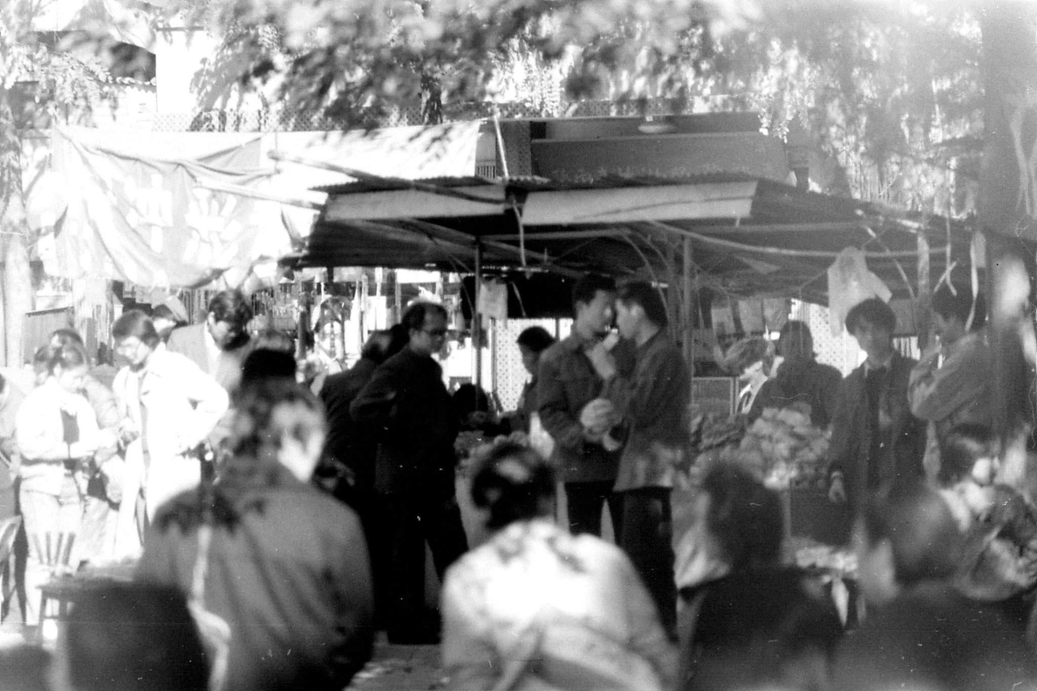 6/11/1988:4: Day trip to Jiangshan Park and Incense Burner Peak